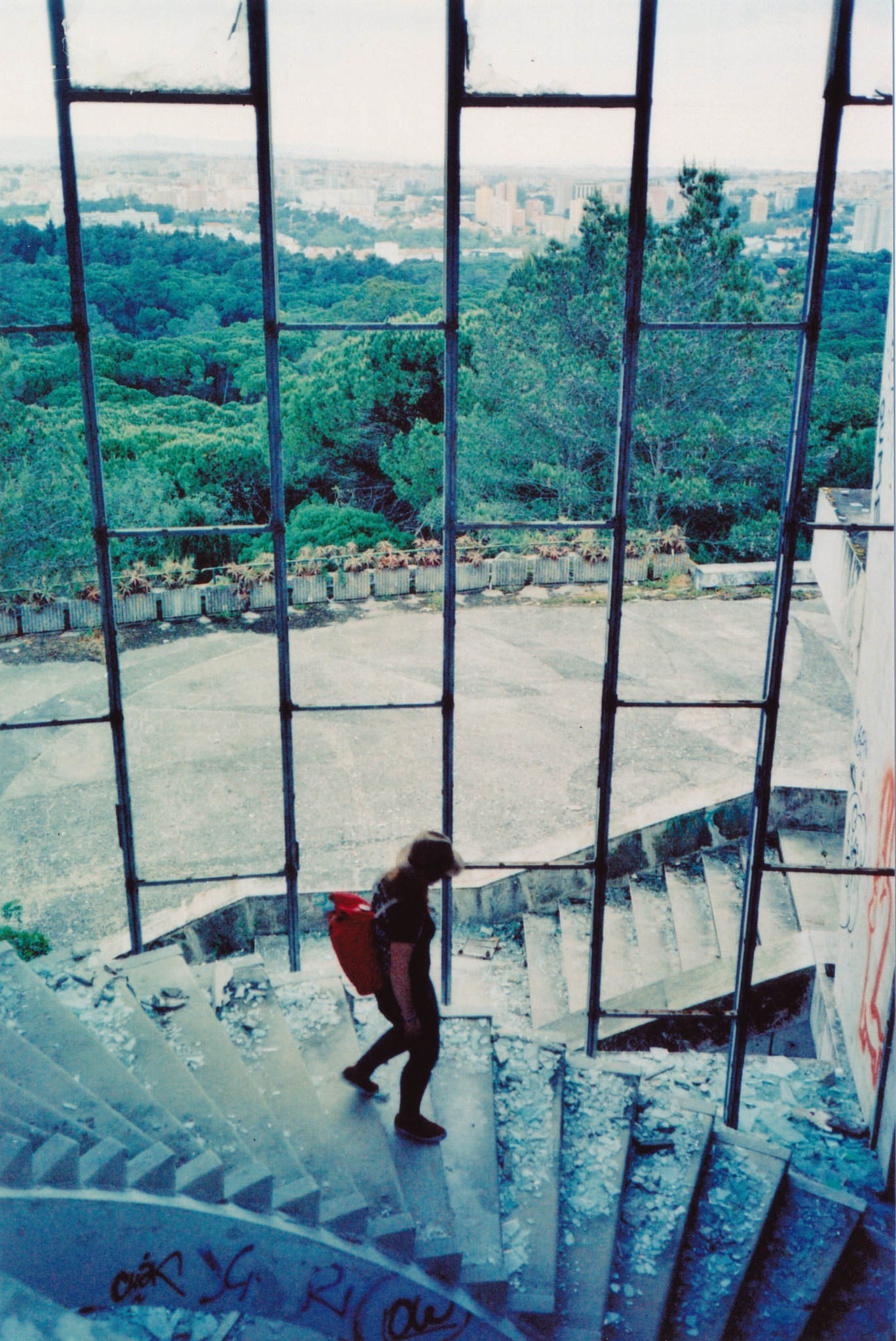 yashicat4comparison.jpg
