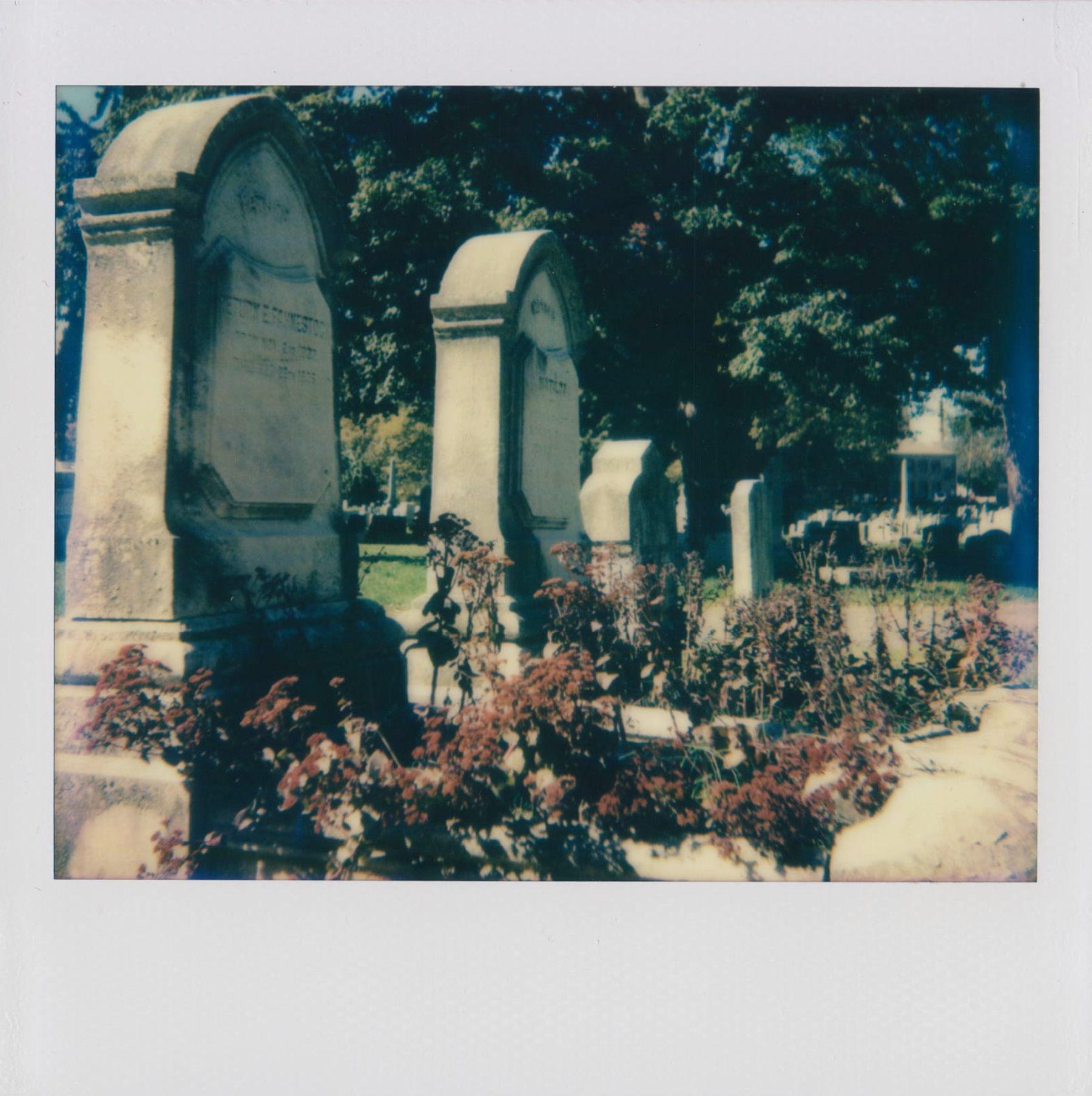 兰开斯特墓地II_Poalroid230LandCamera_AbigailCrone.jpg