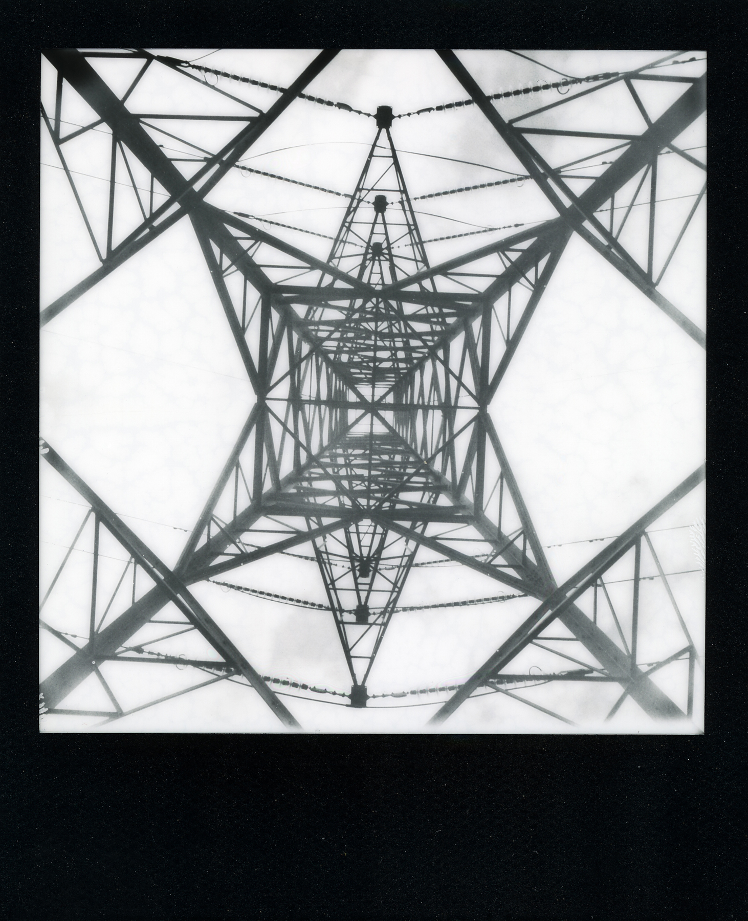 pola-101.jpg