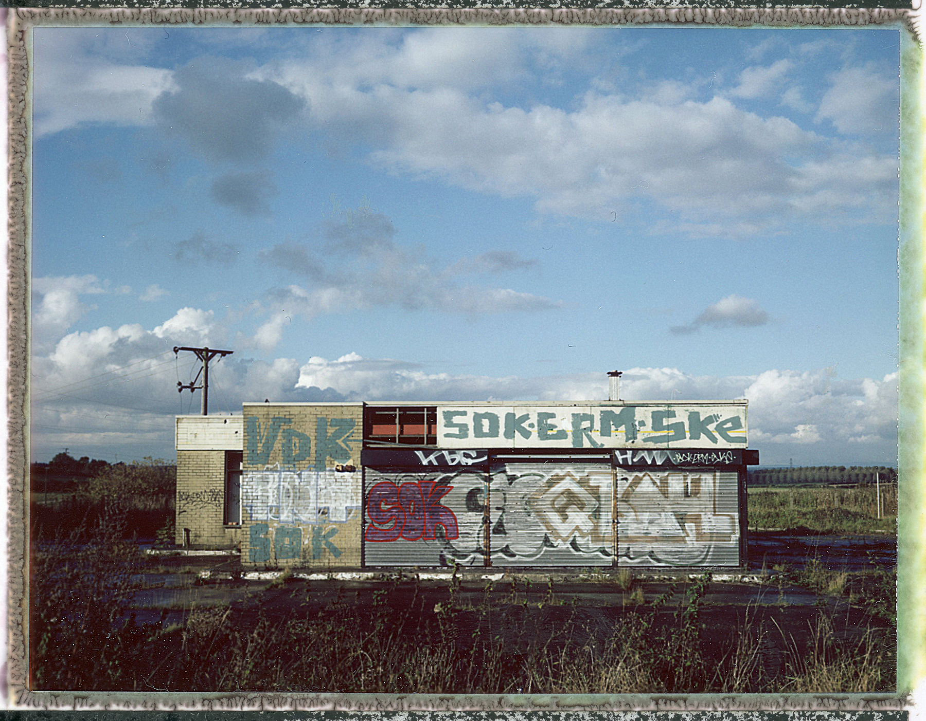 roid136-WR.jpg