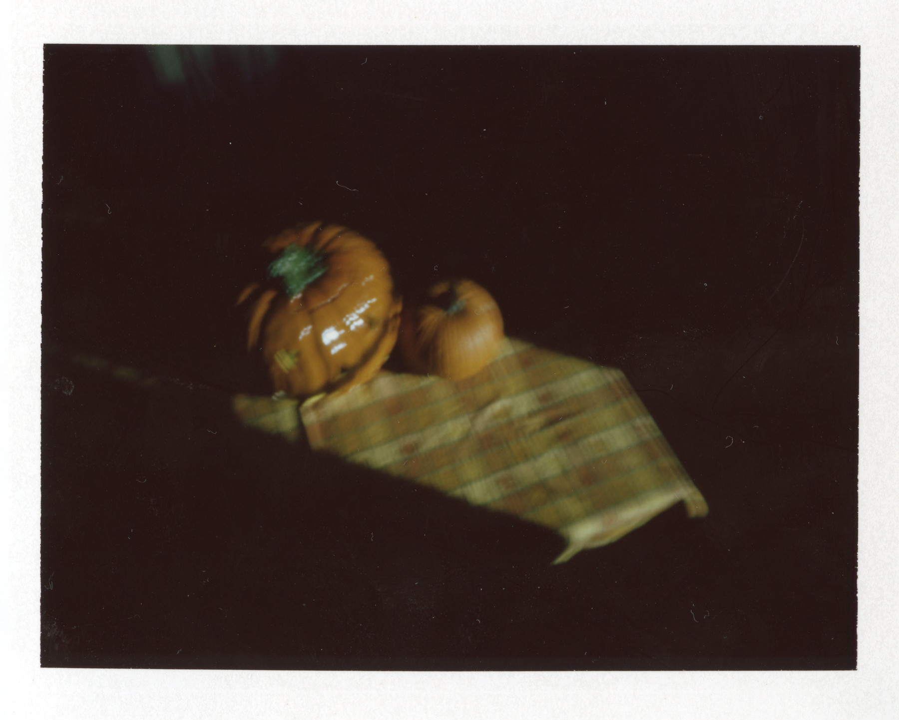 所有图像经针孔转换的宝丽来Colorpack,富士fp100C胶片