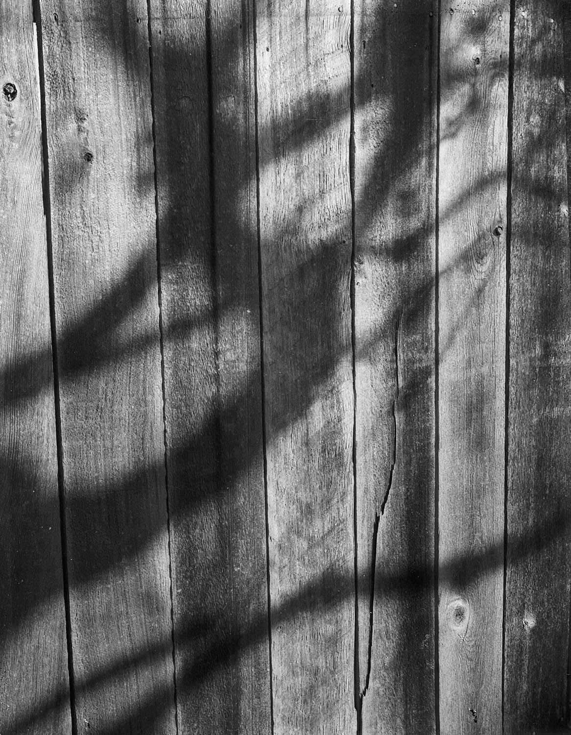 PN / 55胶片4x5