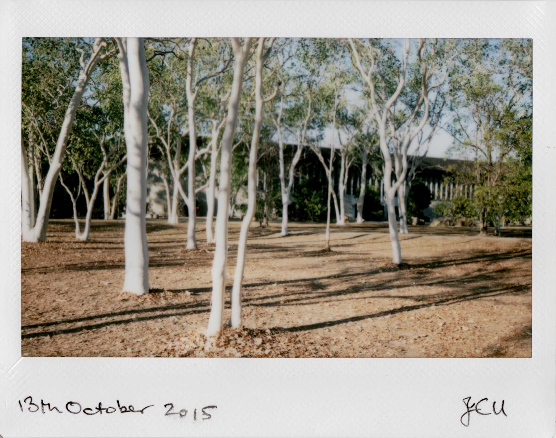 2015-10-13.jpg