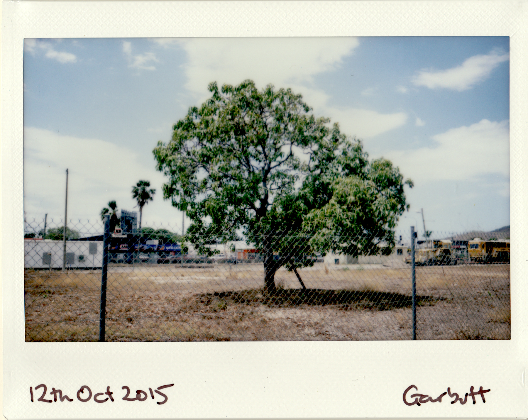 2015-10-12.jpg