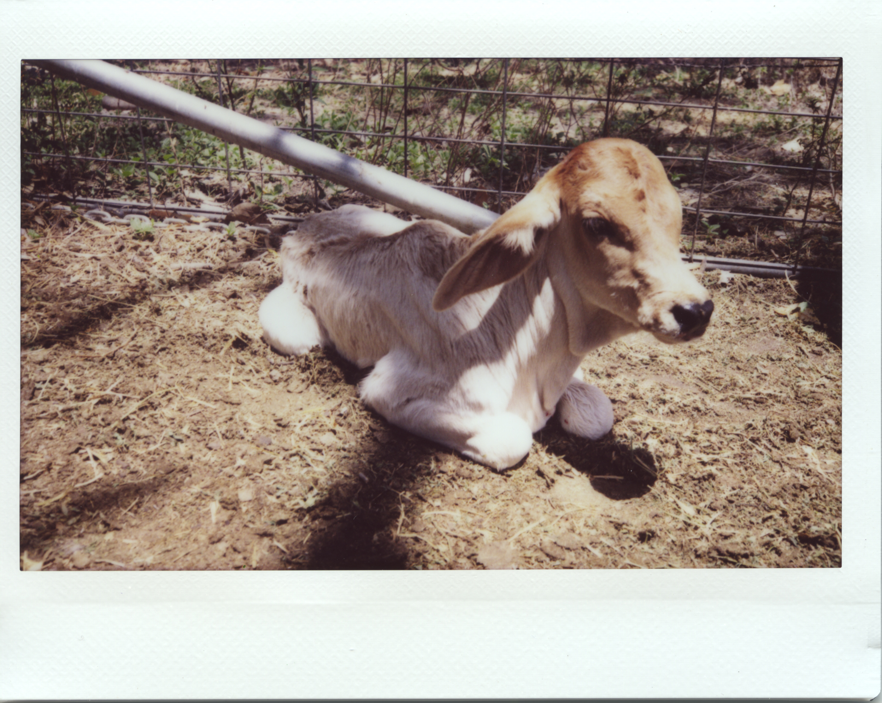 2015-10-16a.jpg