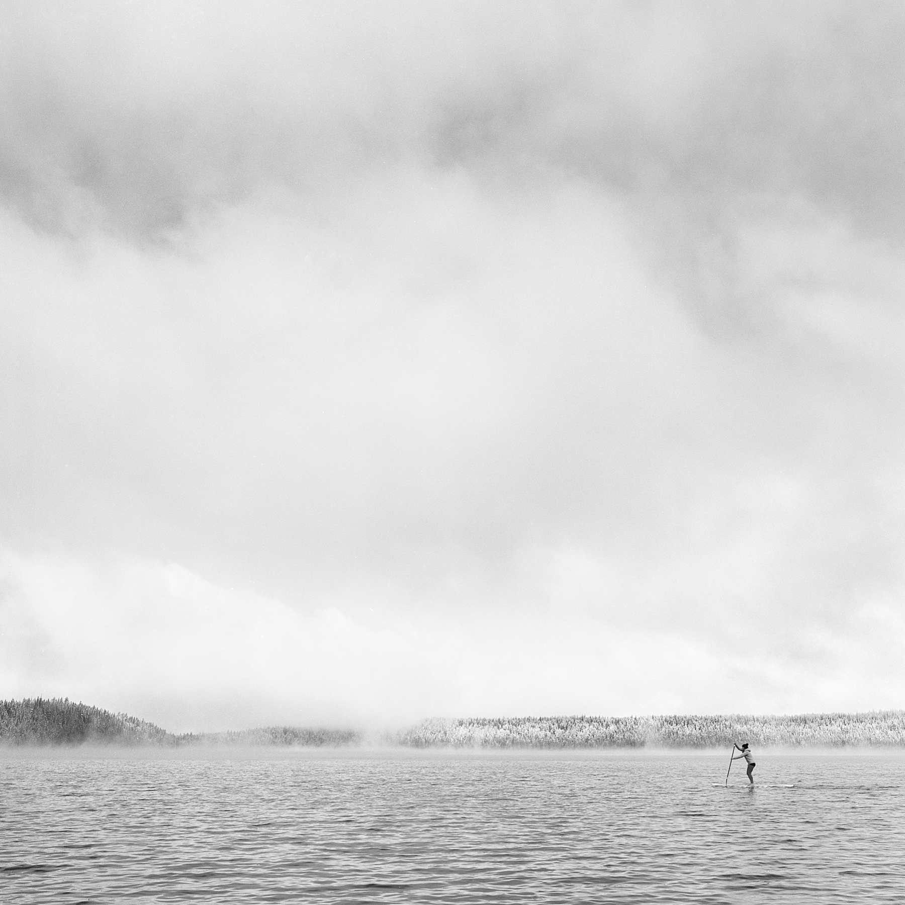 清晨桨|哈苏500cm 60mm C T | Aaron Bieleck