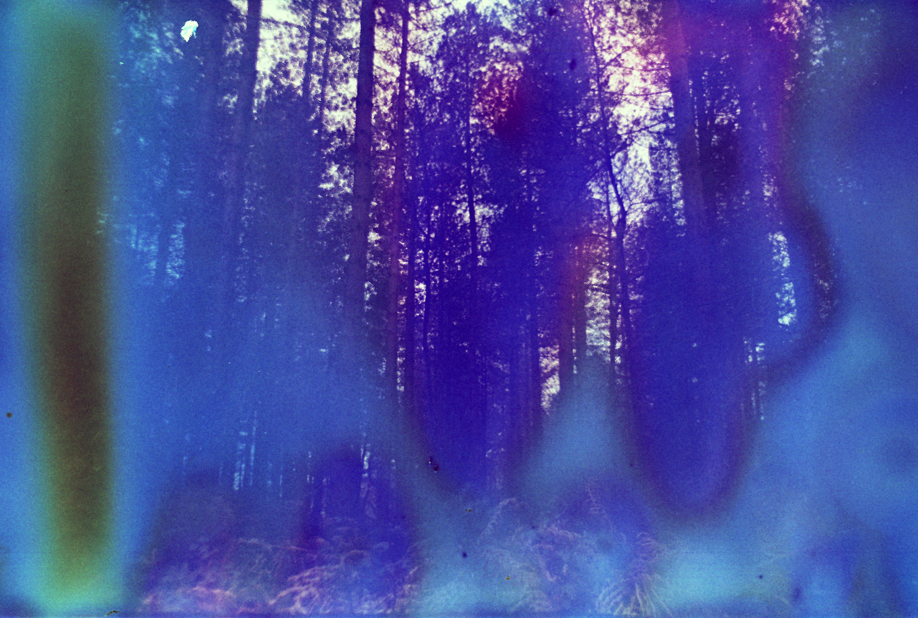 Analog-cameras-best-0004.jpg