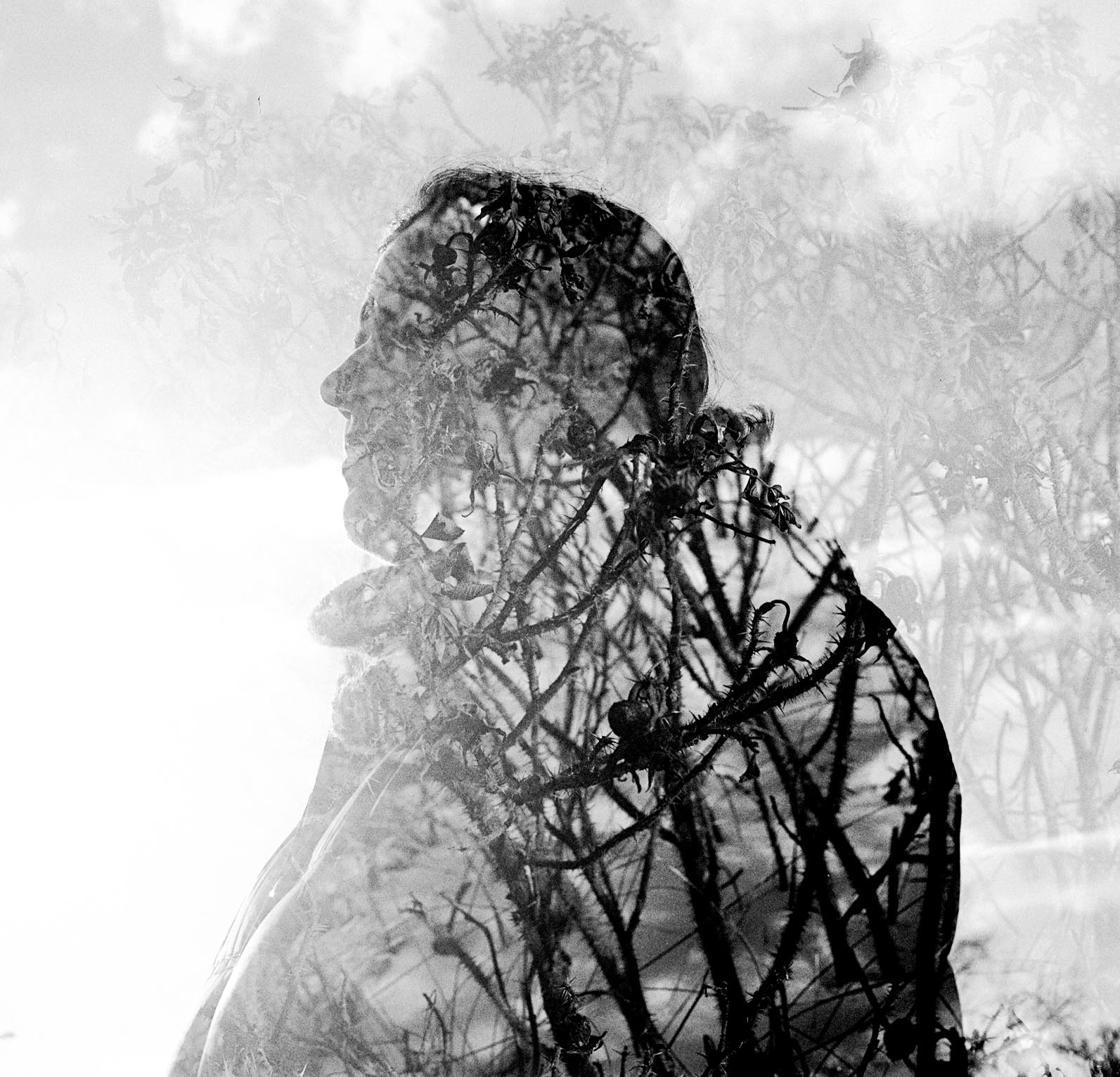 无标题|哈苏500c 80mm |珍妮弗·巴蒂斯(Jennifer Battis)