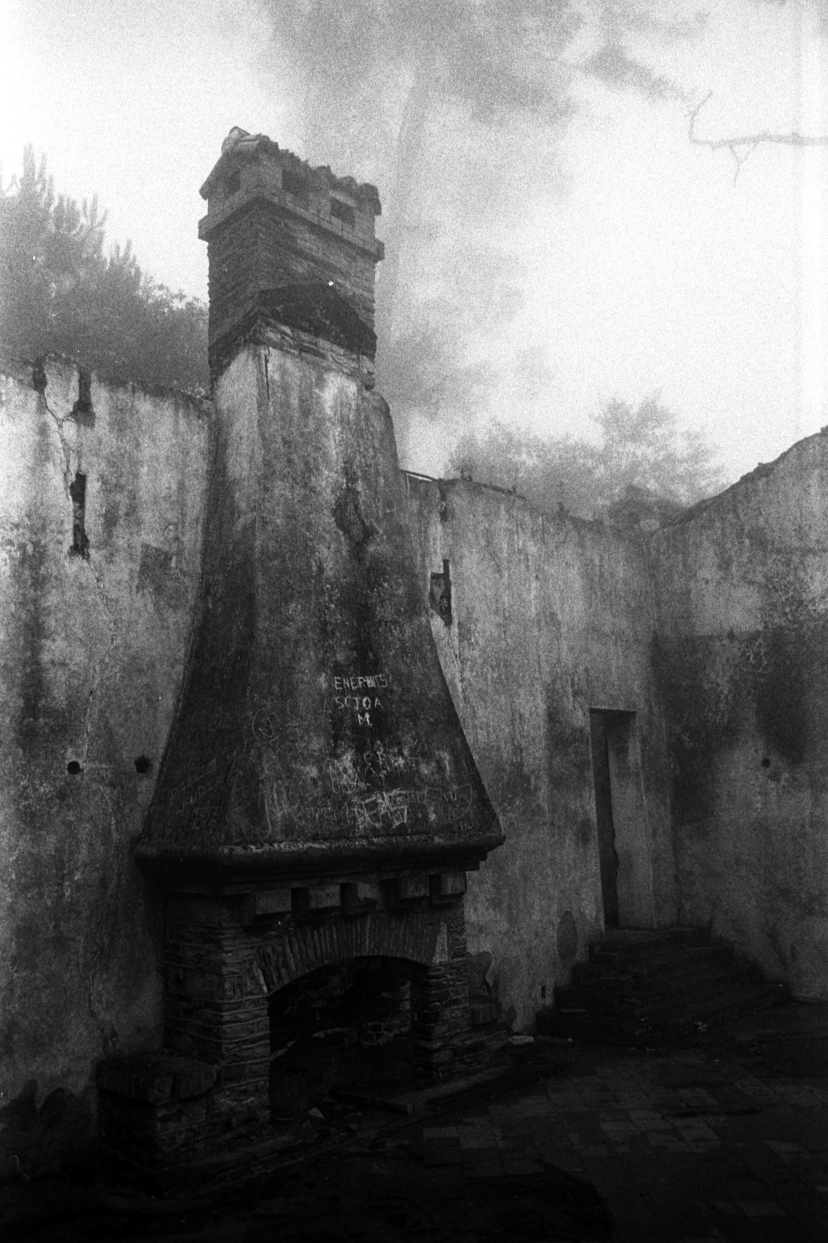 从前宾得Spotmatic | Tri-X |埃夫拉恩·博约克斯(Efrain Bojorquez)