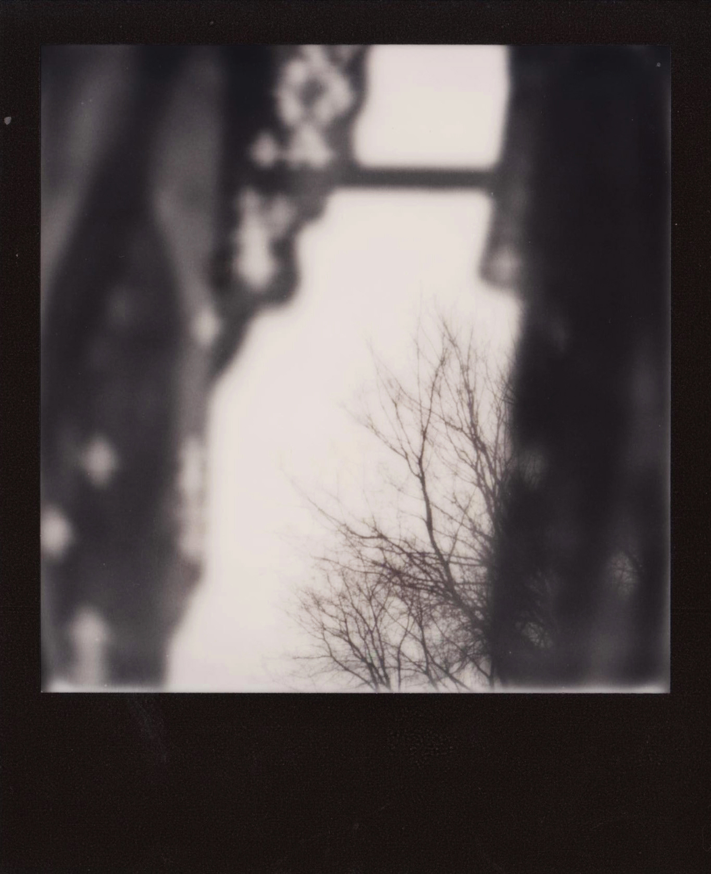 阿比盖尔·克朗|&冬季感| SX70 | 不可能的项目黑白
