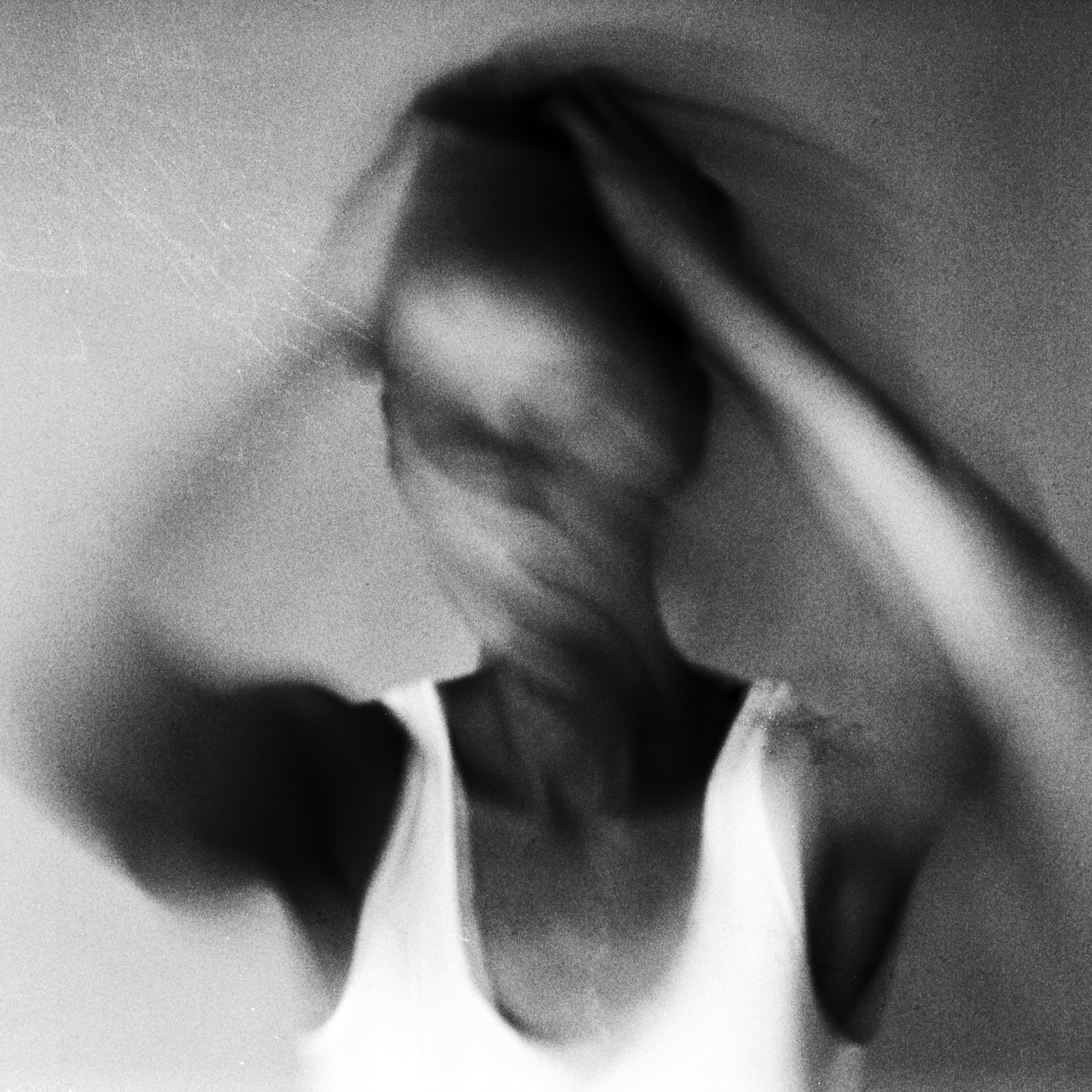 Aliki Smith | Self Portrait