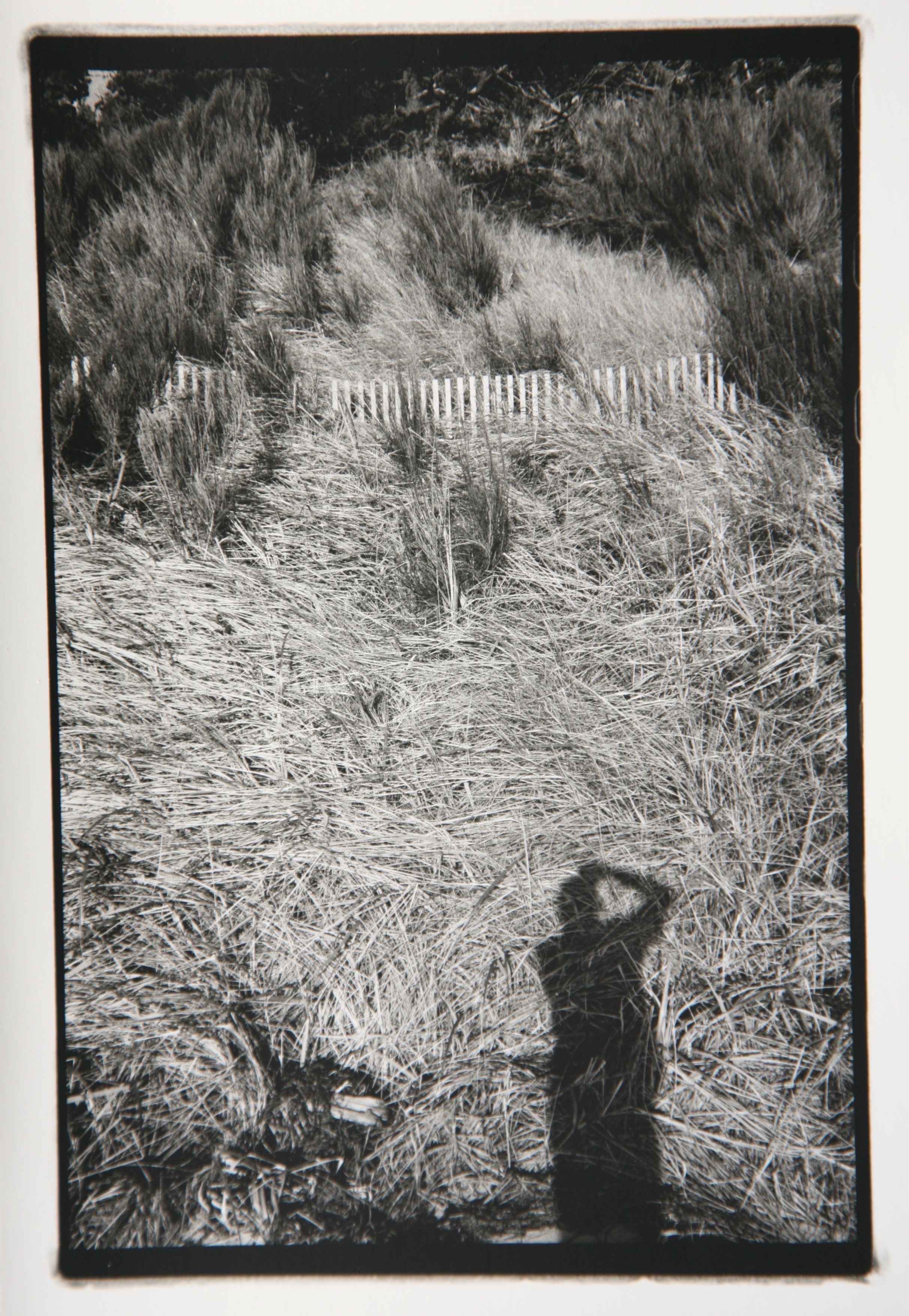 彼得·卡尼格|自拍照1 |徕卡M2 | 35毫米| Ilford HP5 | Rodinal |银版画