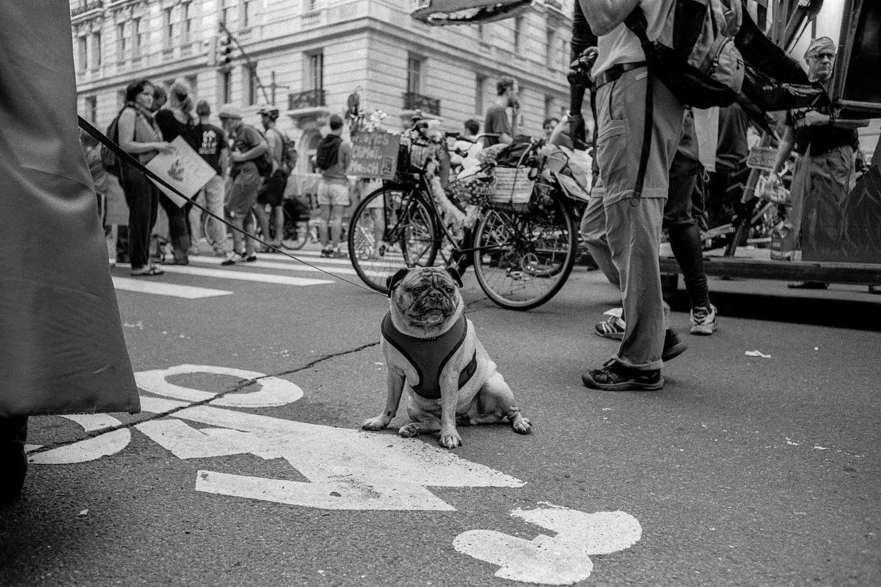 new-jersey-film-photographer-09.jpg