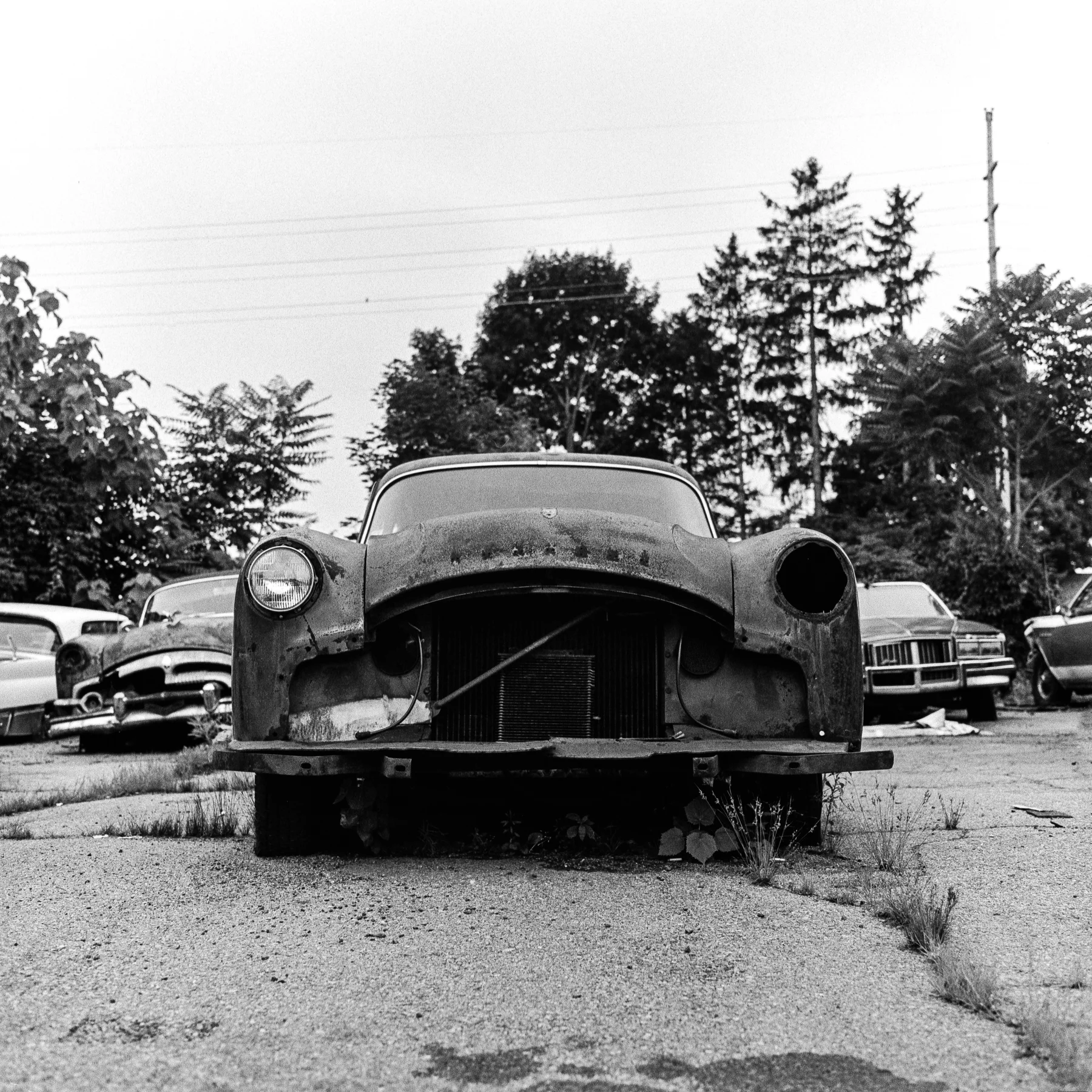new-jersey-film-photographer-07.jpg