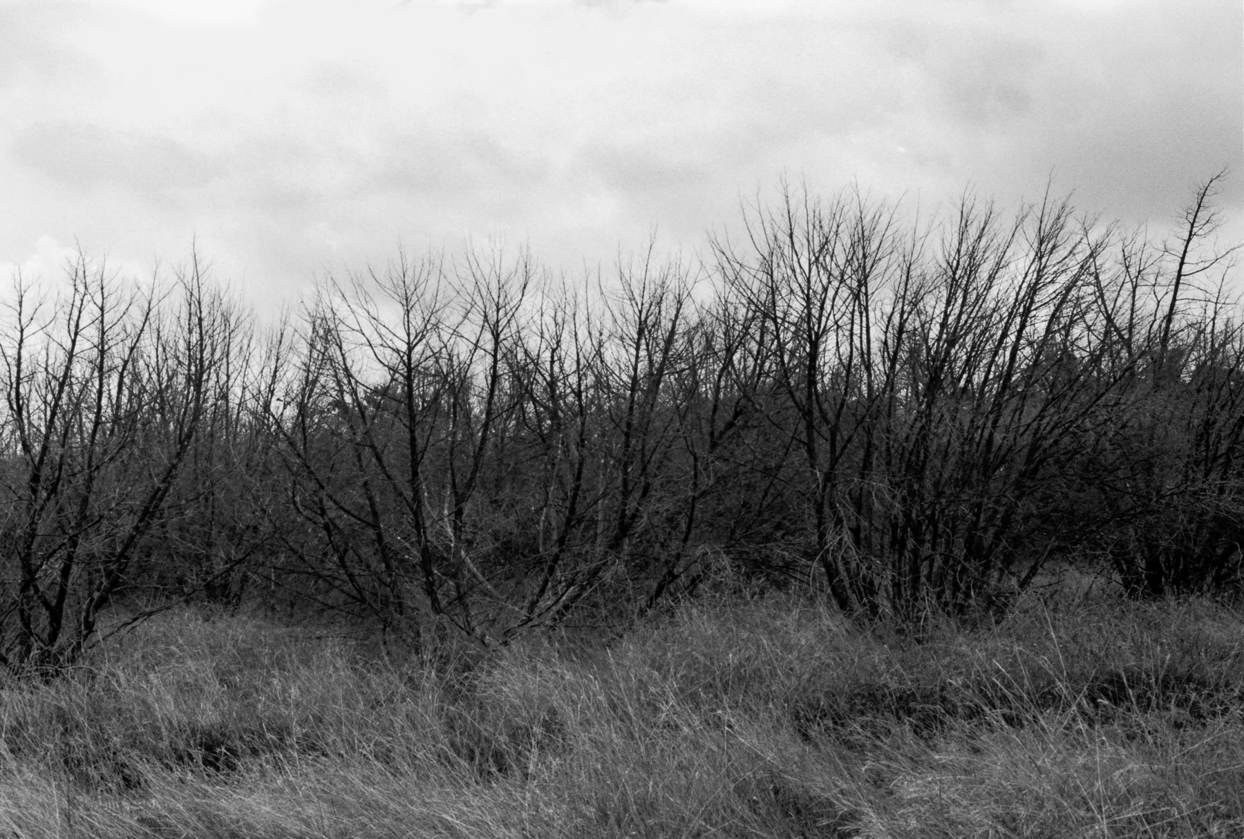 texas-photographer-film-04.jpg