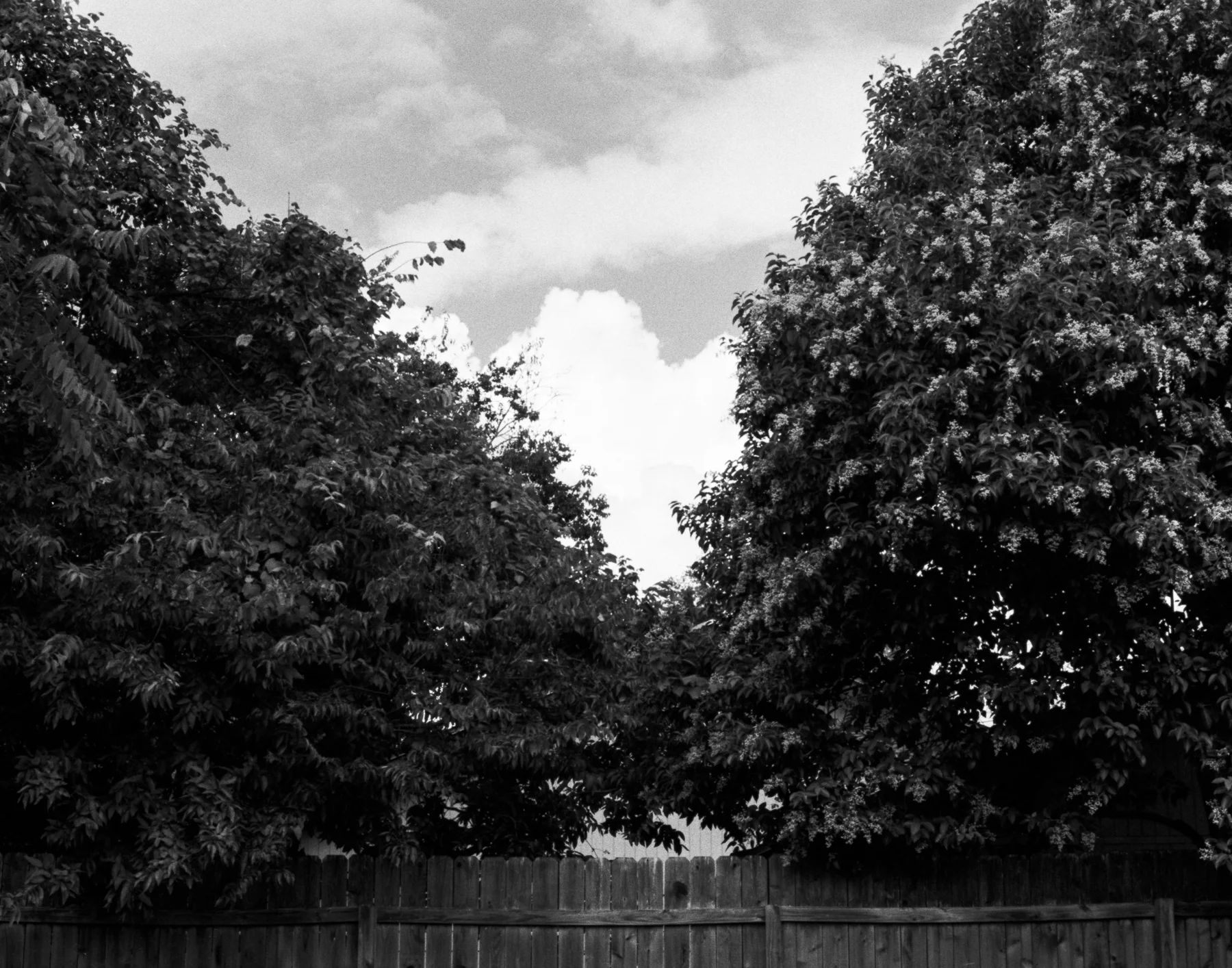 texas-photographer-film-06.jpg