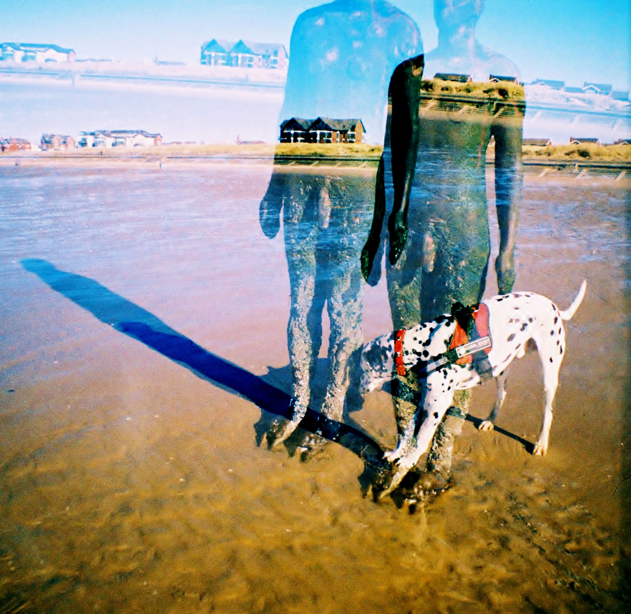 露西·温赖特|无标题| Diana F + | Ektachrome越过