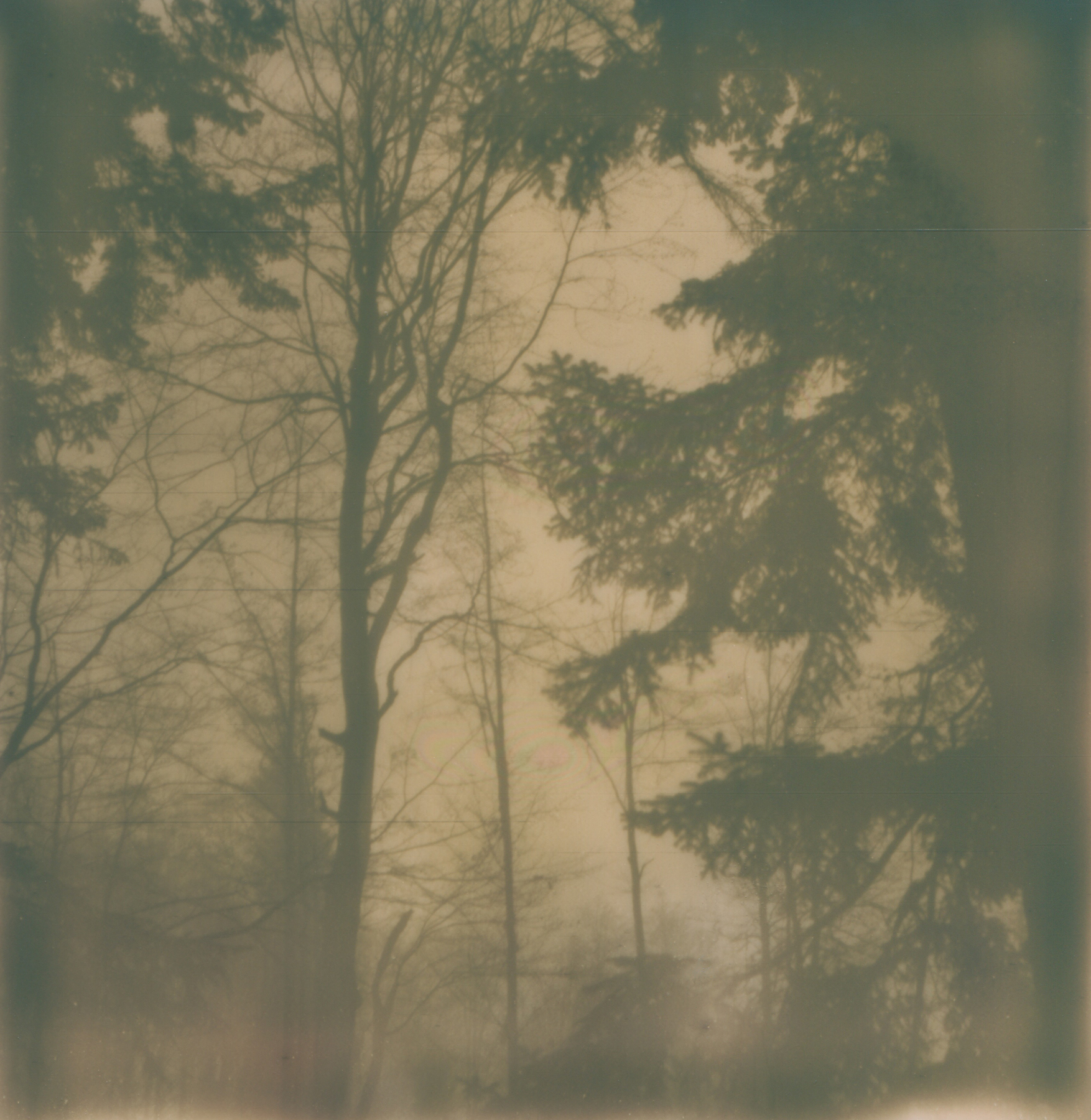 Seelensteig | SX-70 |伊娜·埃希特纳赫(Ina Echternach)