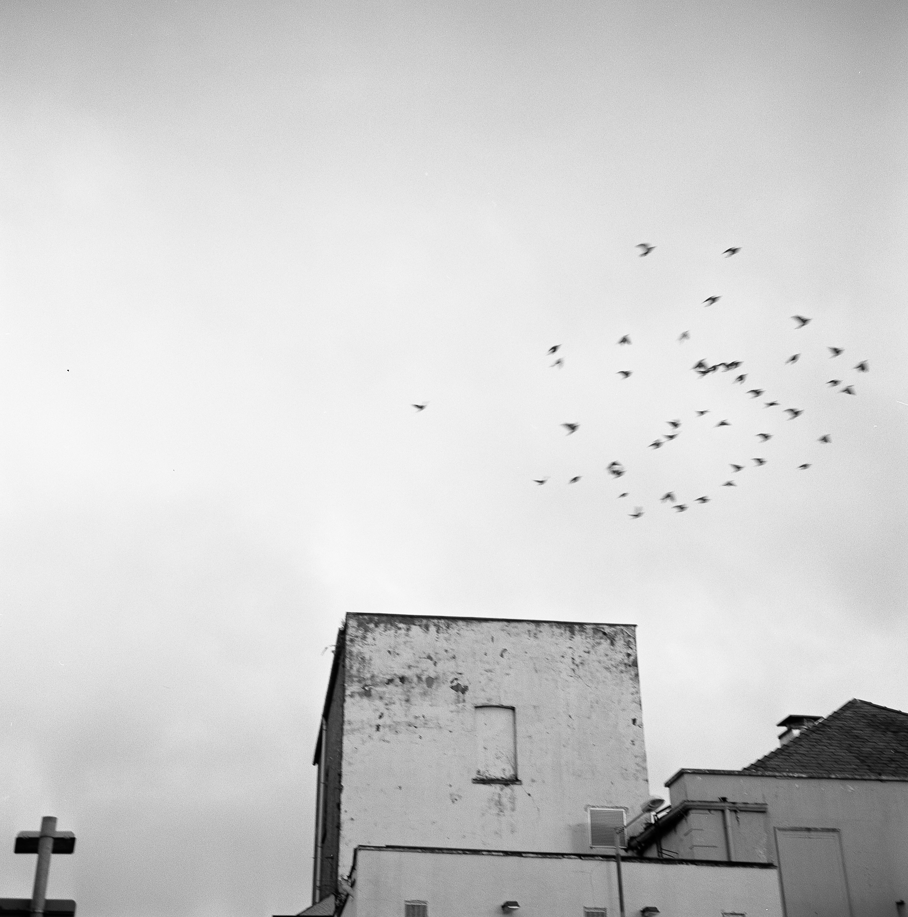 无标题| Rolleiflex 3.5E | 75mm平面| Acros 100 |罗伯特·罗