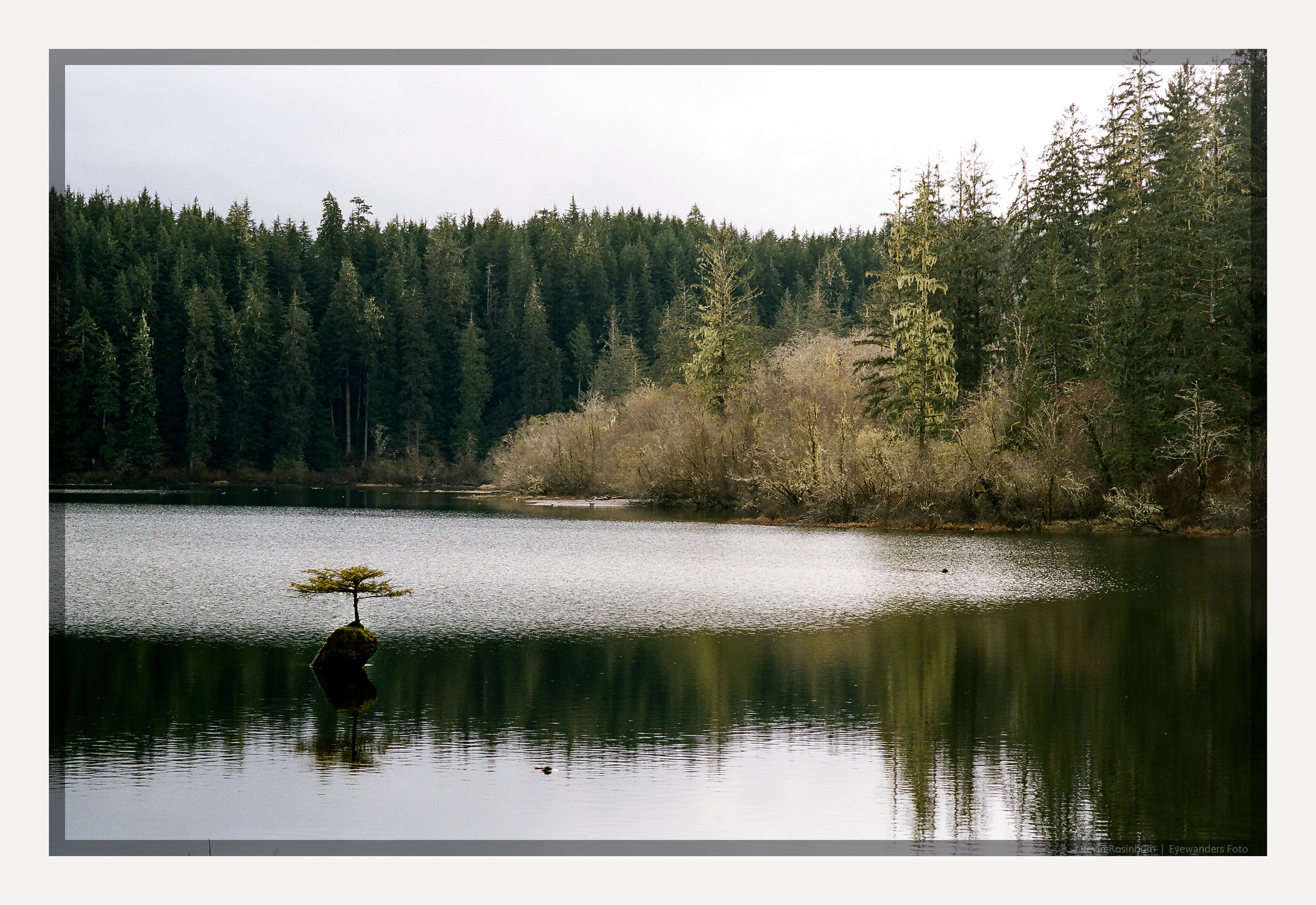 坚定不移|宾得MX 77mm | Portra 160 |凯文·罗辛彭