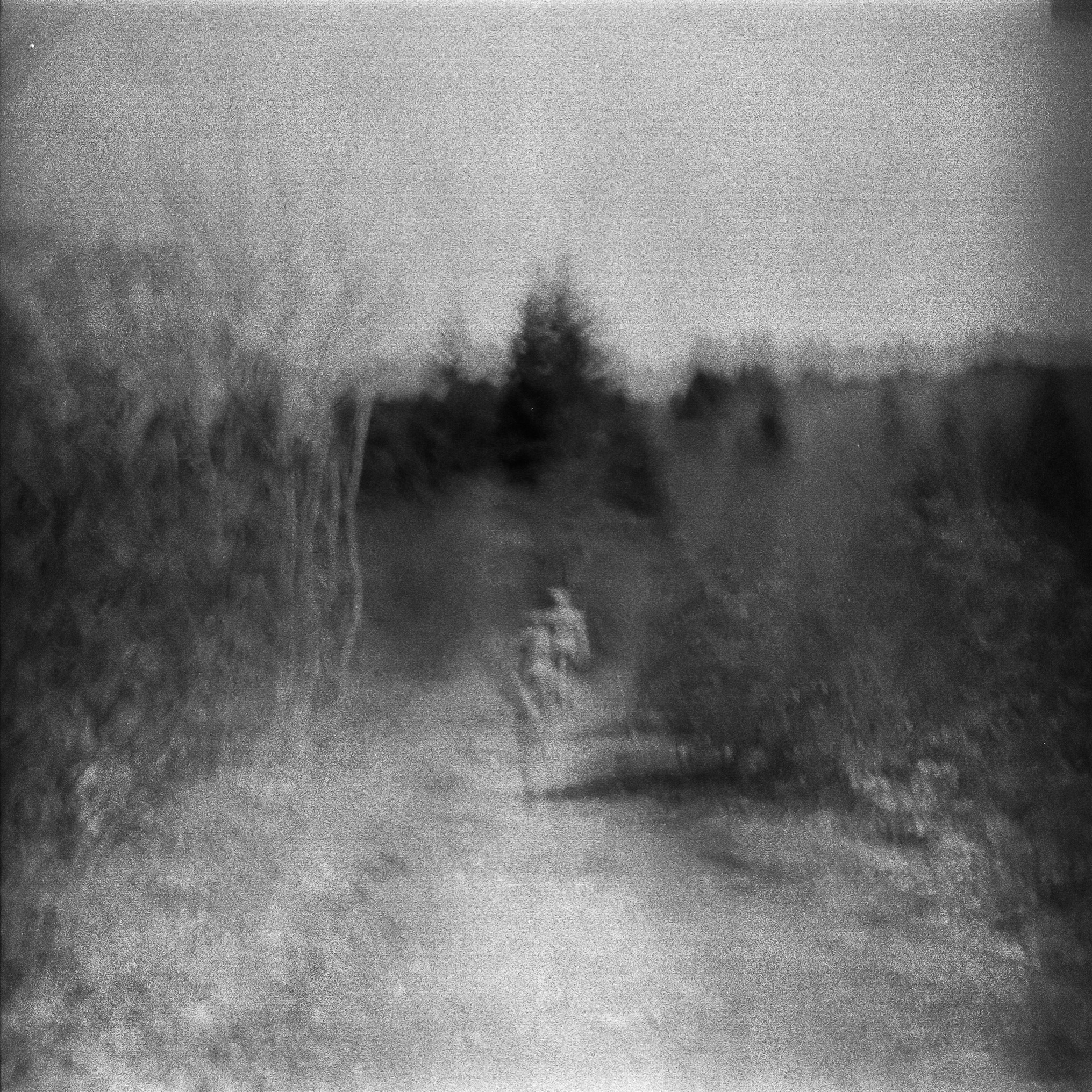 红宝石|鬼魂| Zeiss Ikon Nettar II | Tri-X