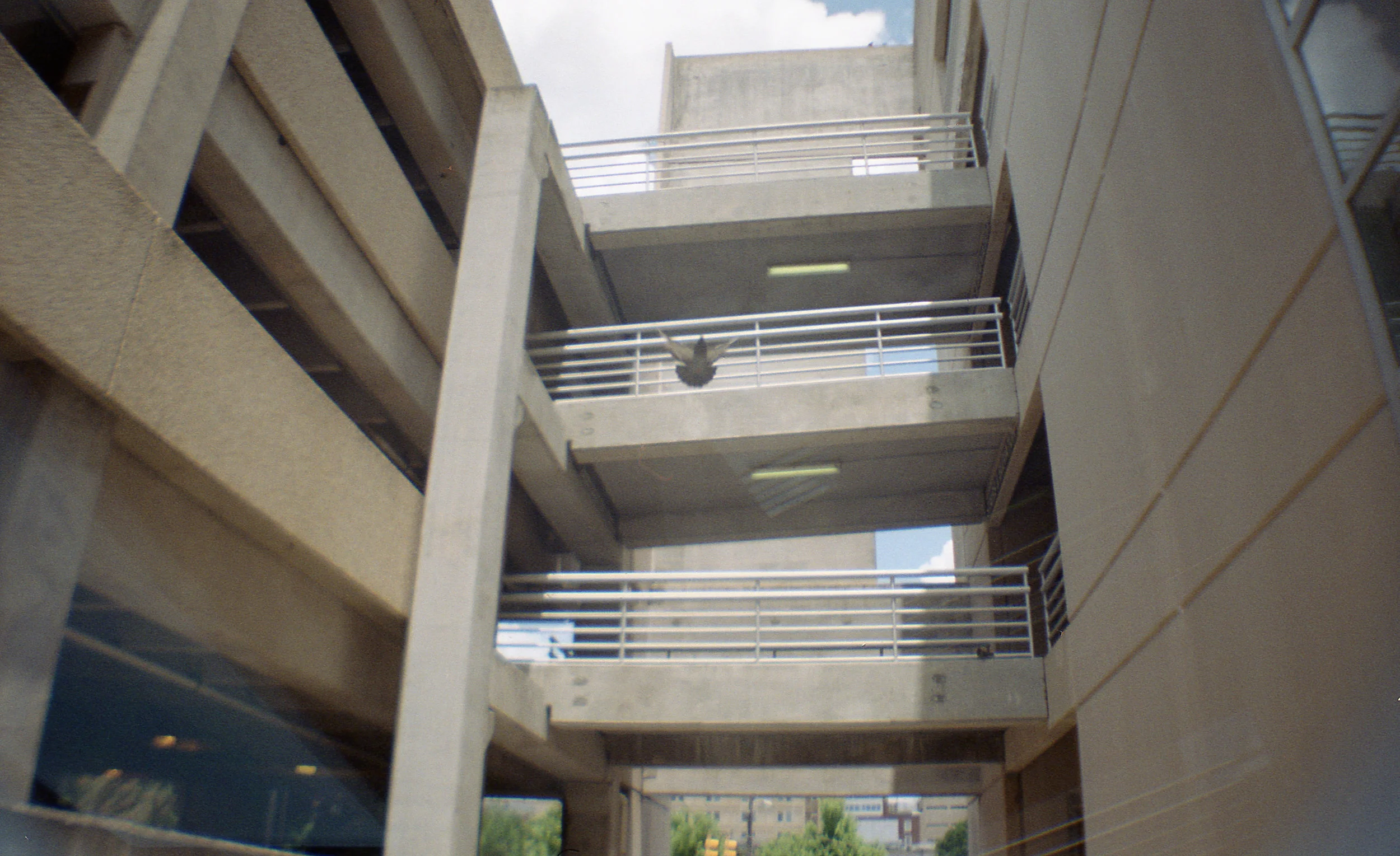 飞走Lomography La Sardina |富士色100 |阿德里安·道格拉斯·吉利亚姆
