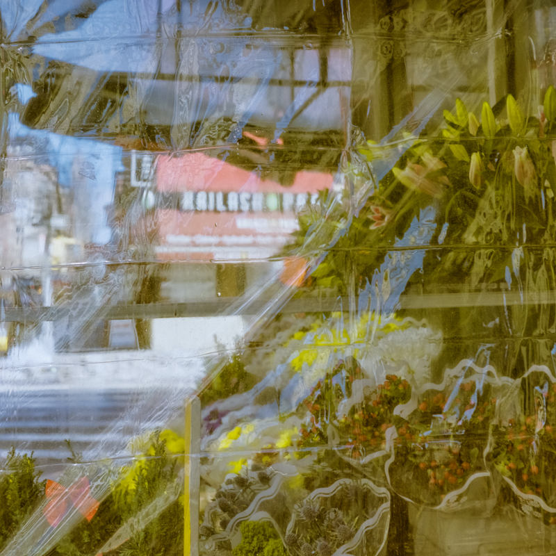 花店| Mamiya六个Automat II Portra 160 E6 | rajmohan-fotograf