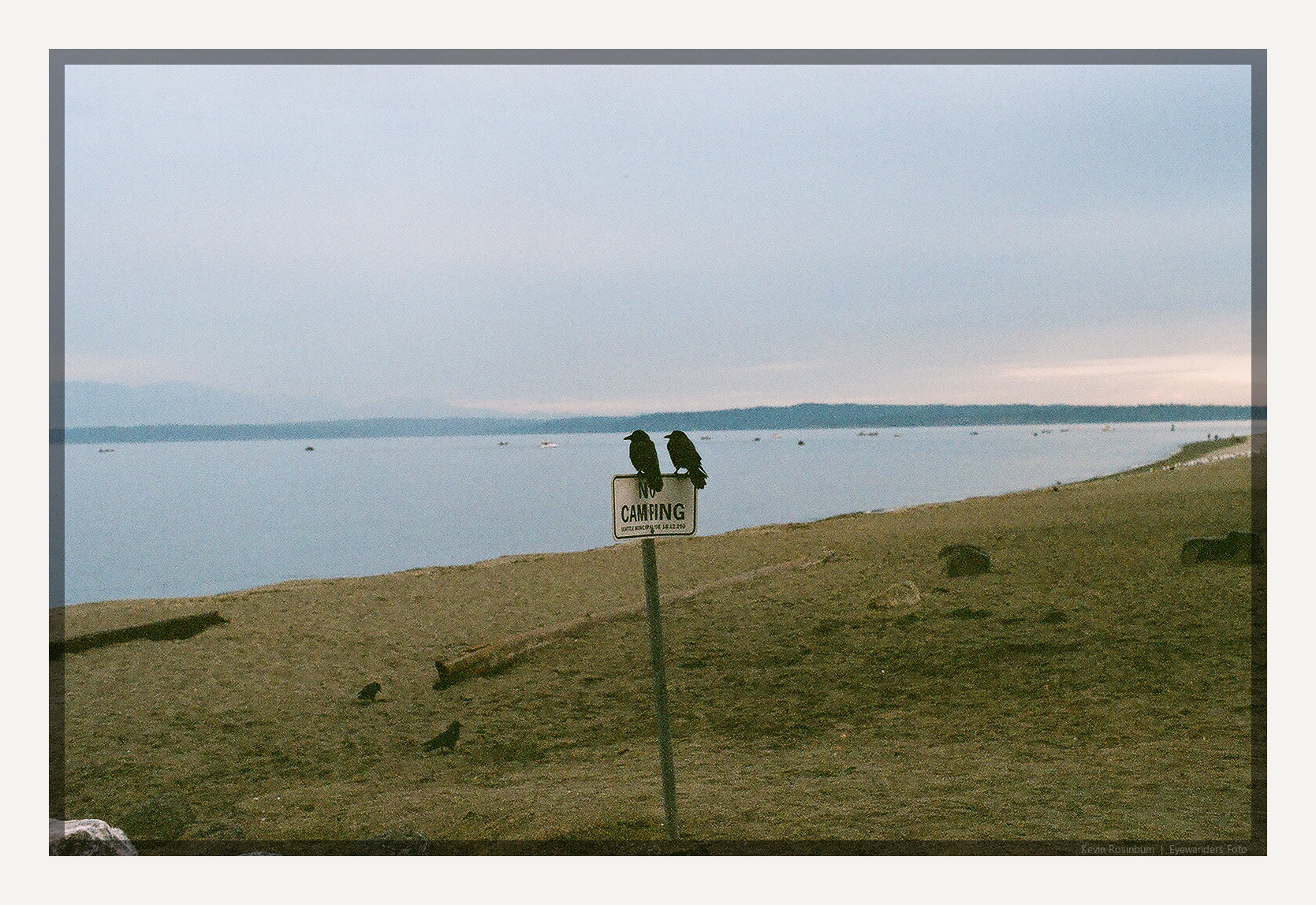 没有露营|宾得K1000 50mm |西雅图电影公司400 ECN2 |凯文·罗辛彭