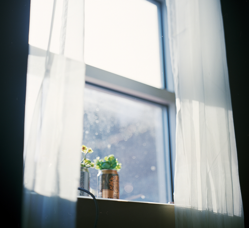 酵母| Rolleiflex 2 |路易斯·索萨(Louis Sousa)