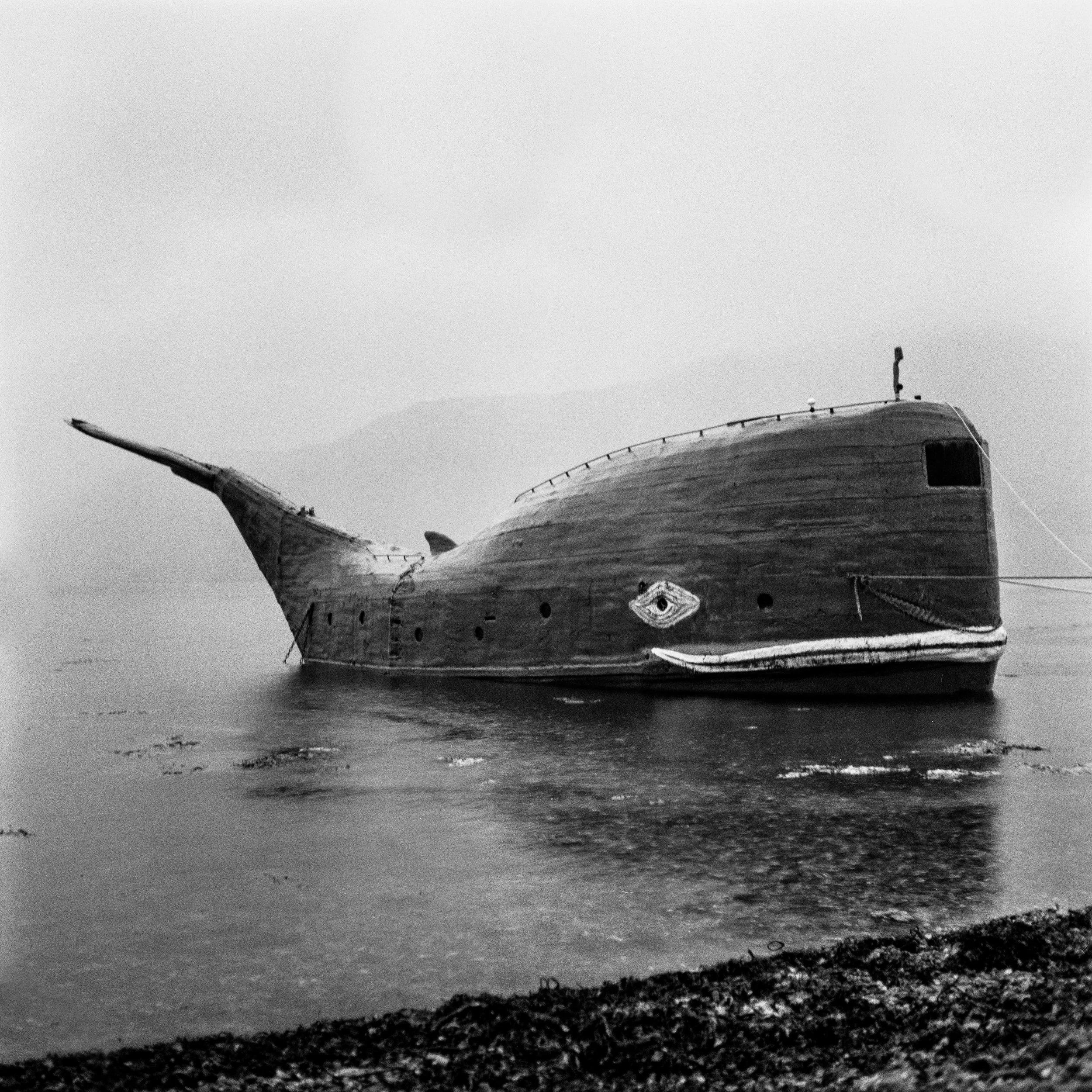 白鲸Rolleicord VB | Ilford HP5 |迈克尔·雷尼
