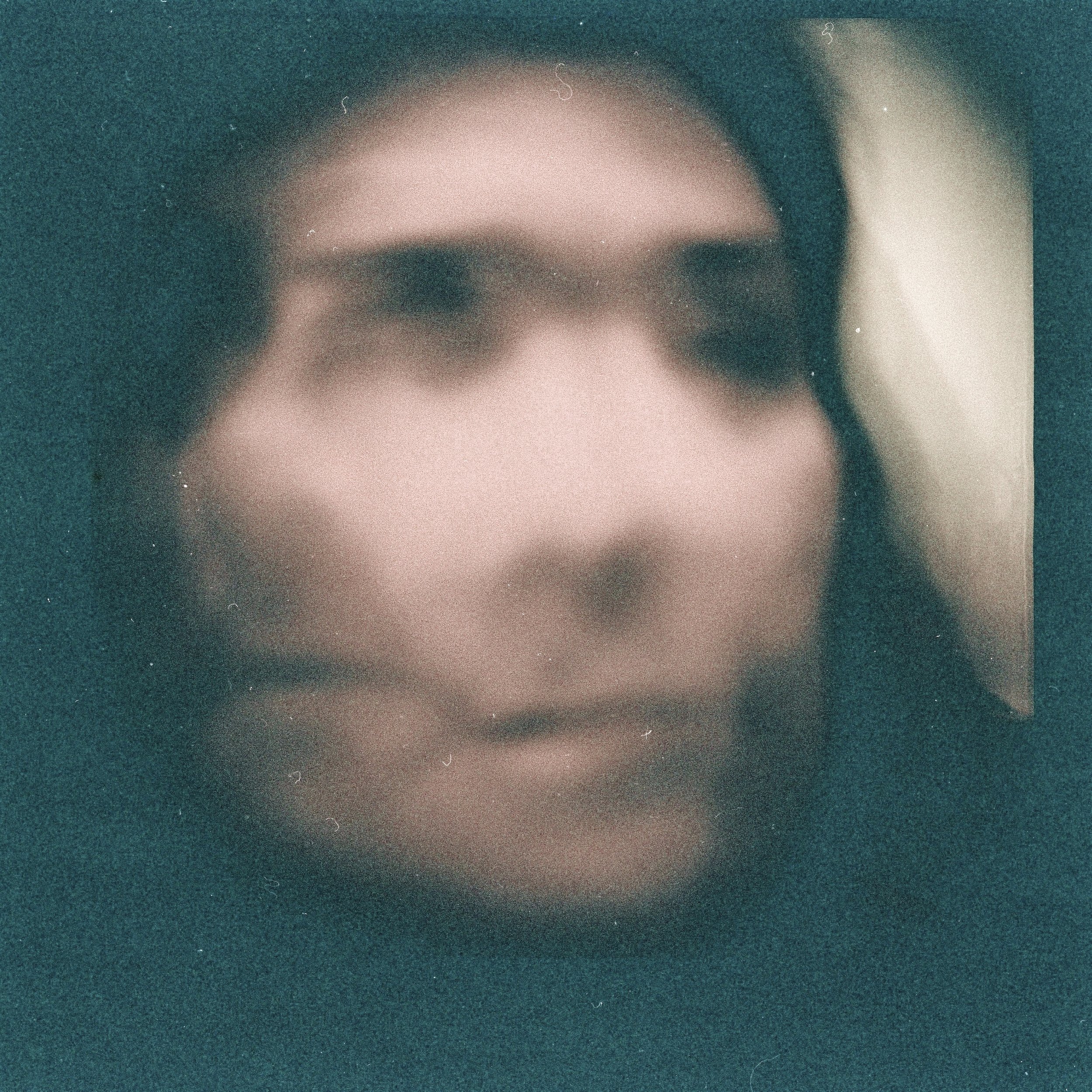蛇纹石| Diana F + | Lomography 100,已降低饱和度|露西·温赖特(Lucy Wainwright)