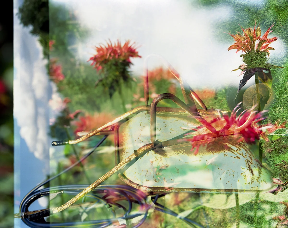 手推车和蜂香膏| Mamiya RB67 ProS |芭芭拉·正义(Barbara Justice)