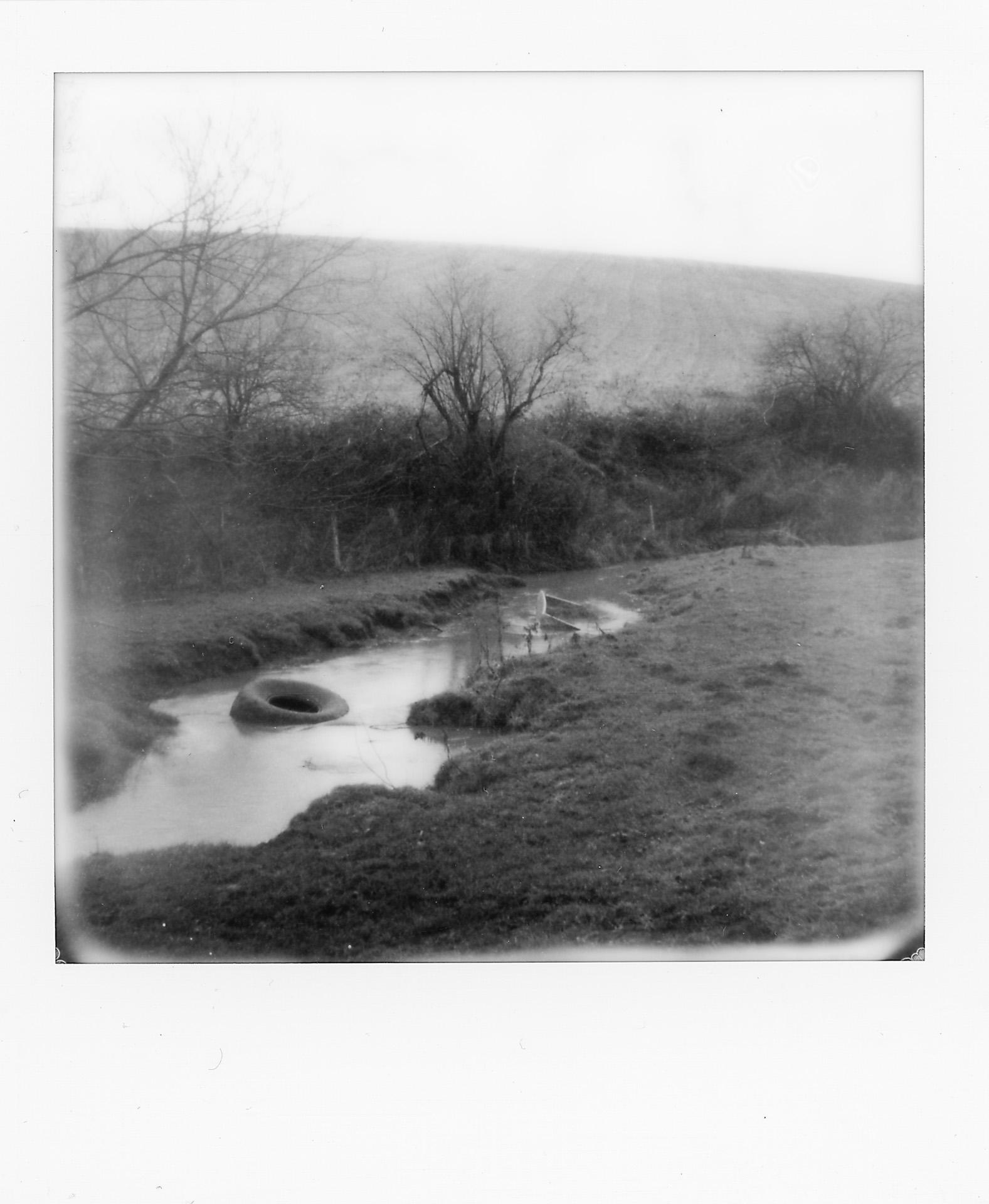 image4.jpg