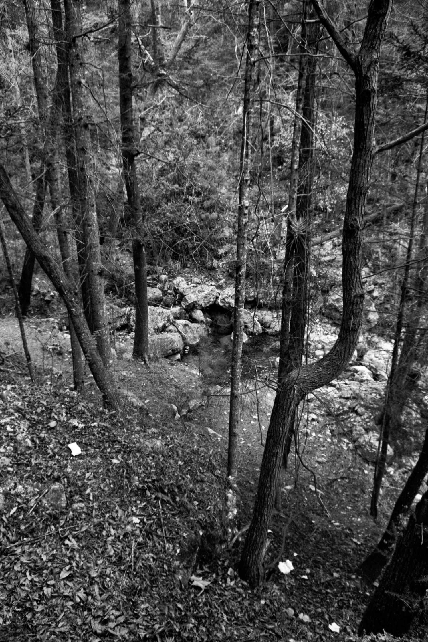 旭宾得Spotmatic-Silberra Pan 160 @ 160-D76 1 + 1
