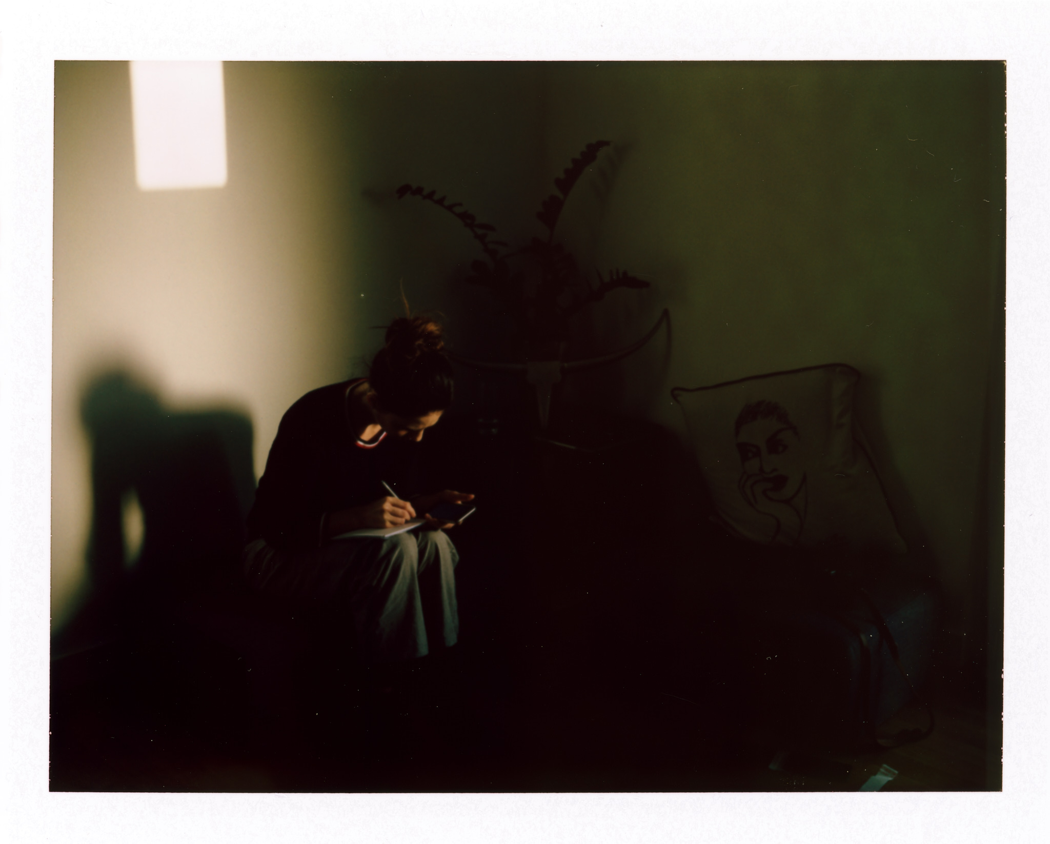 Abendstimmung |宝丽来195 |富士FP-100C |奥利维尔SM
