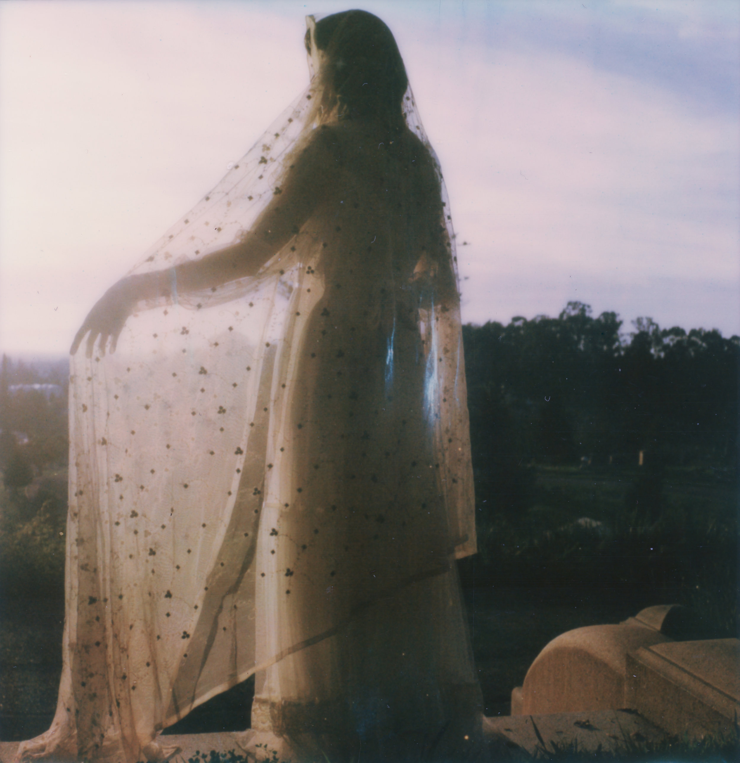 阴影之外的地方| SX70 |宝丽来原稿|撒卡拉鸟歌