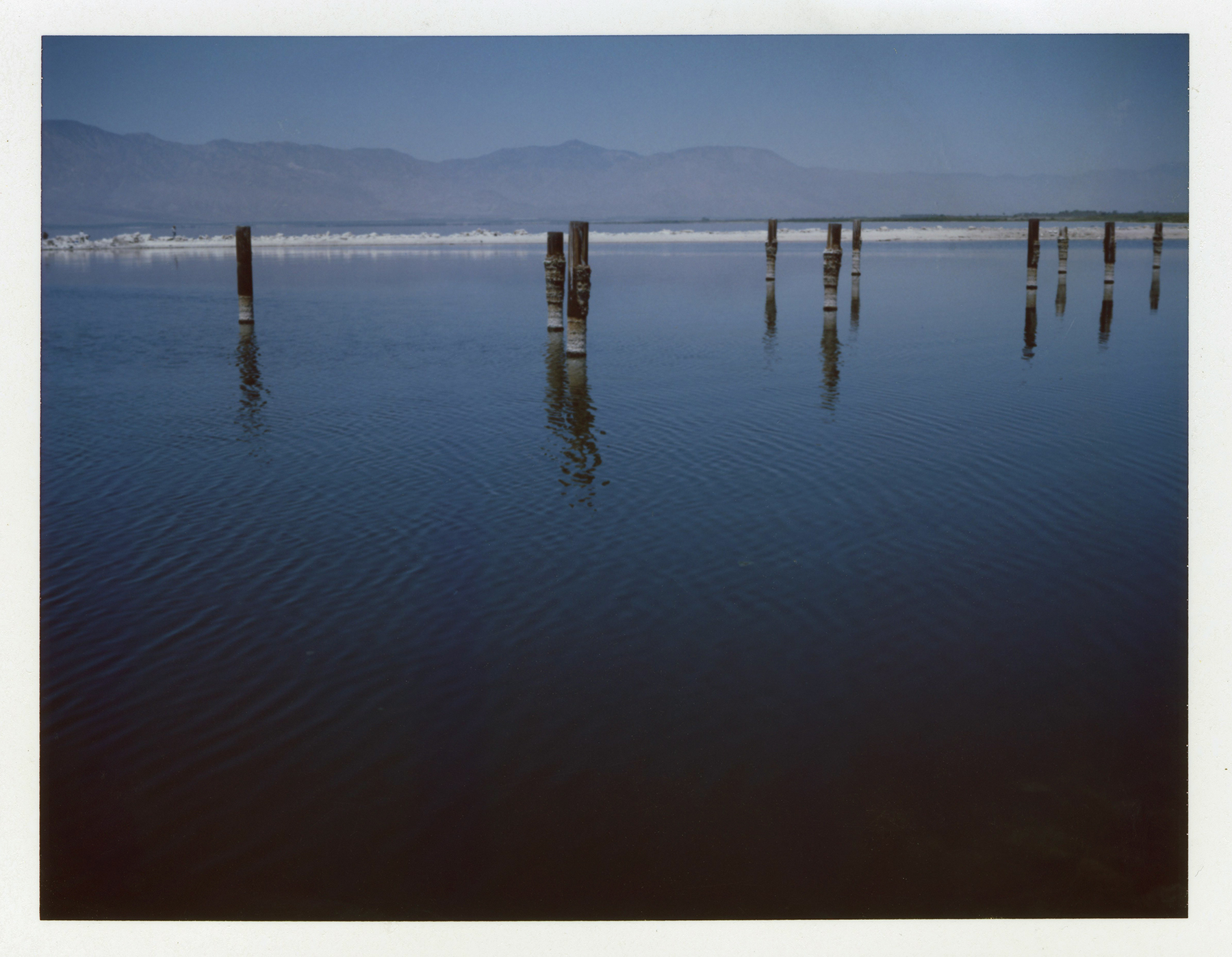 索尔顿海|宝丽来自动100陆地相机|富士FP100C |芭芭拉·正义(Barbara Justice)