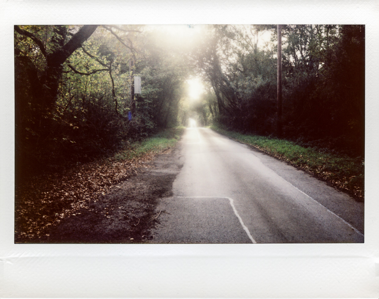 Lane,Rhiwceiliog |富士Instax Wide |罗杰·哈里森