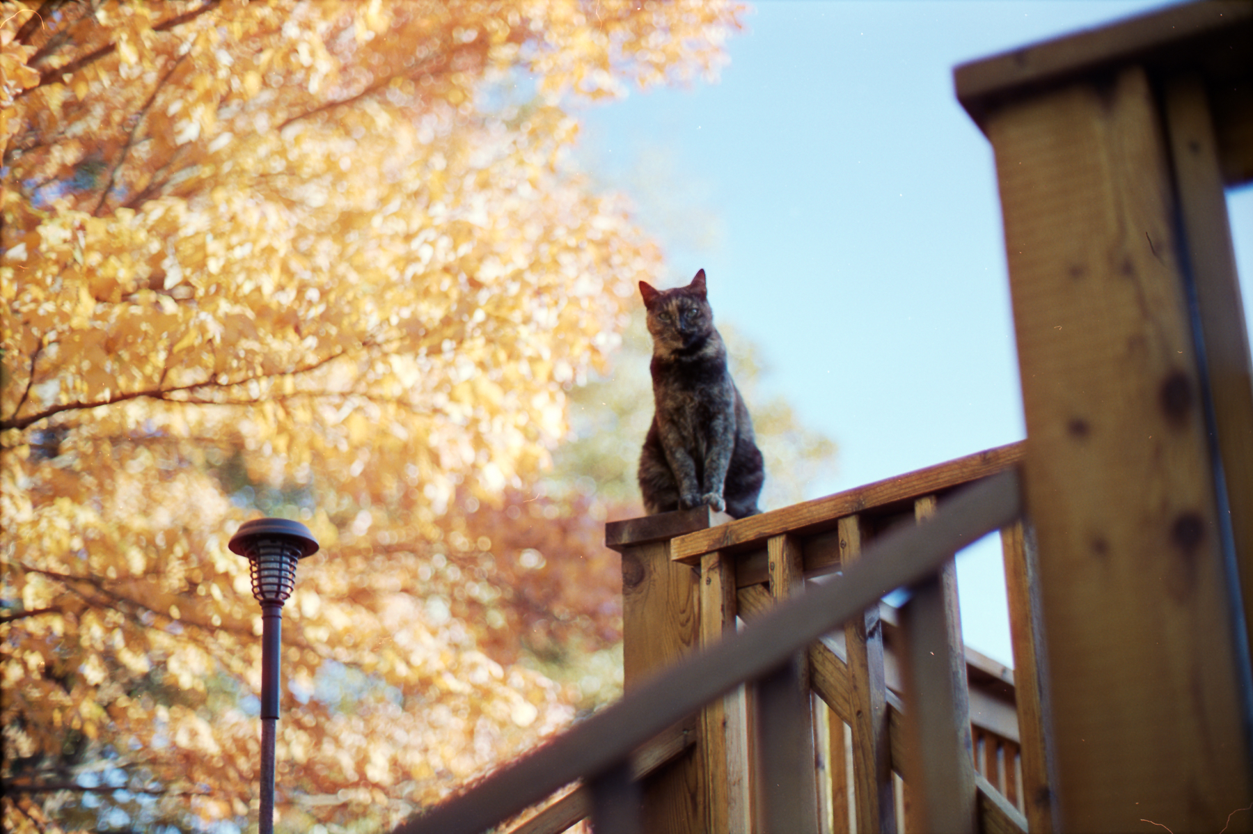 Ektar 2016