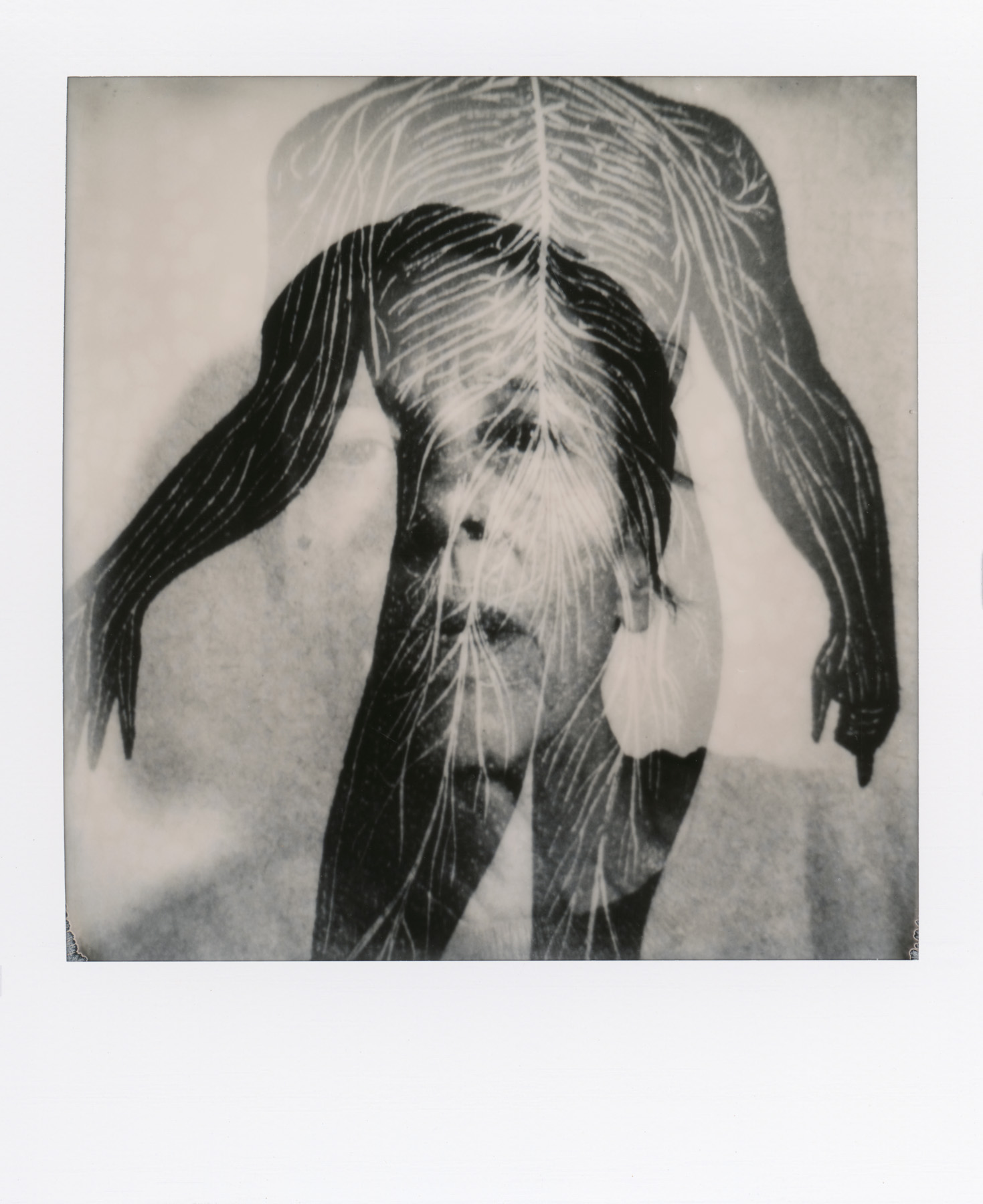 无标题| SX-70 |亚历山大·林德斯(Alek Lindus)