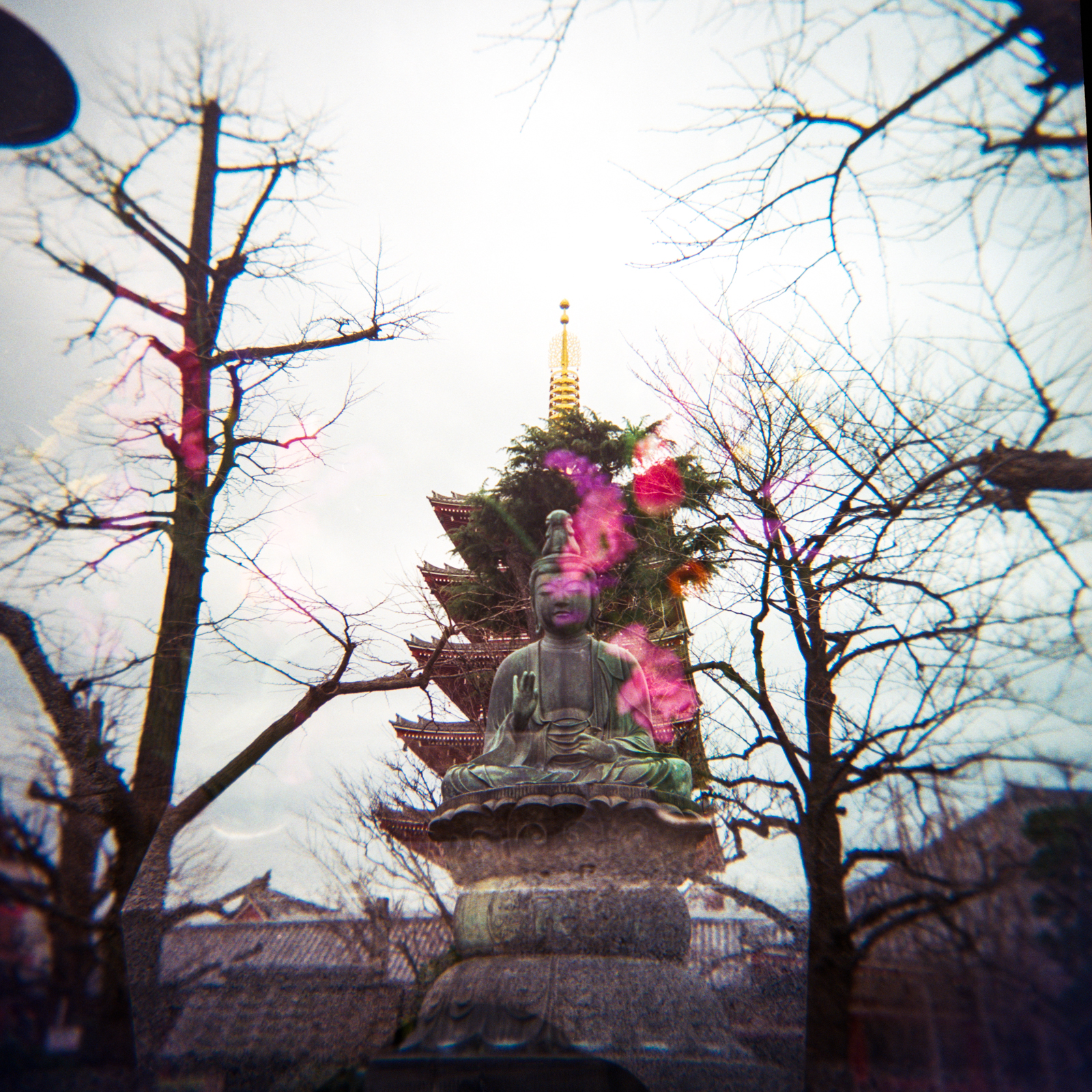 MyleskatherineJapan-13.jpg