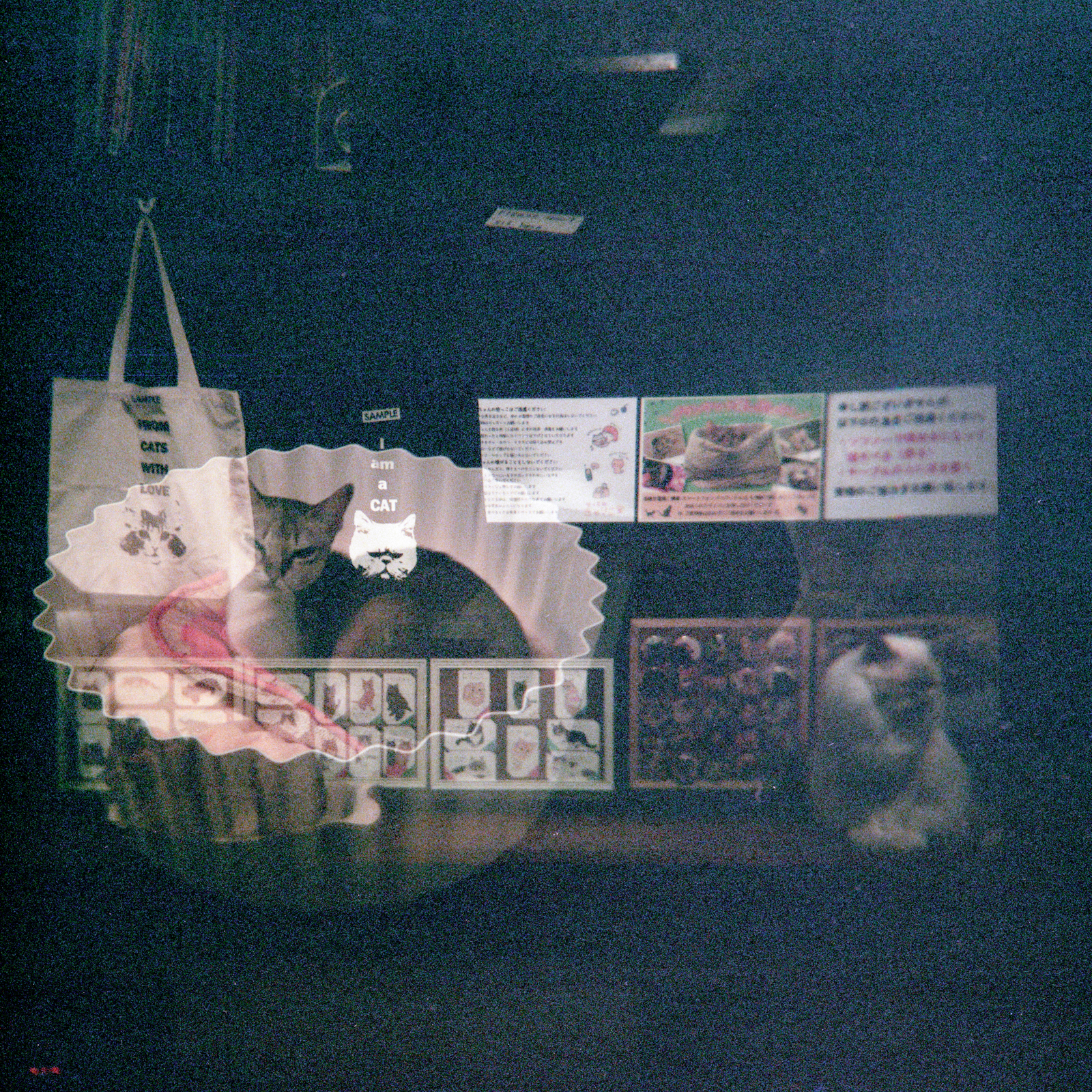 MyleskatherineJapan-11.jpg