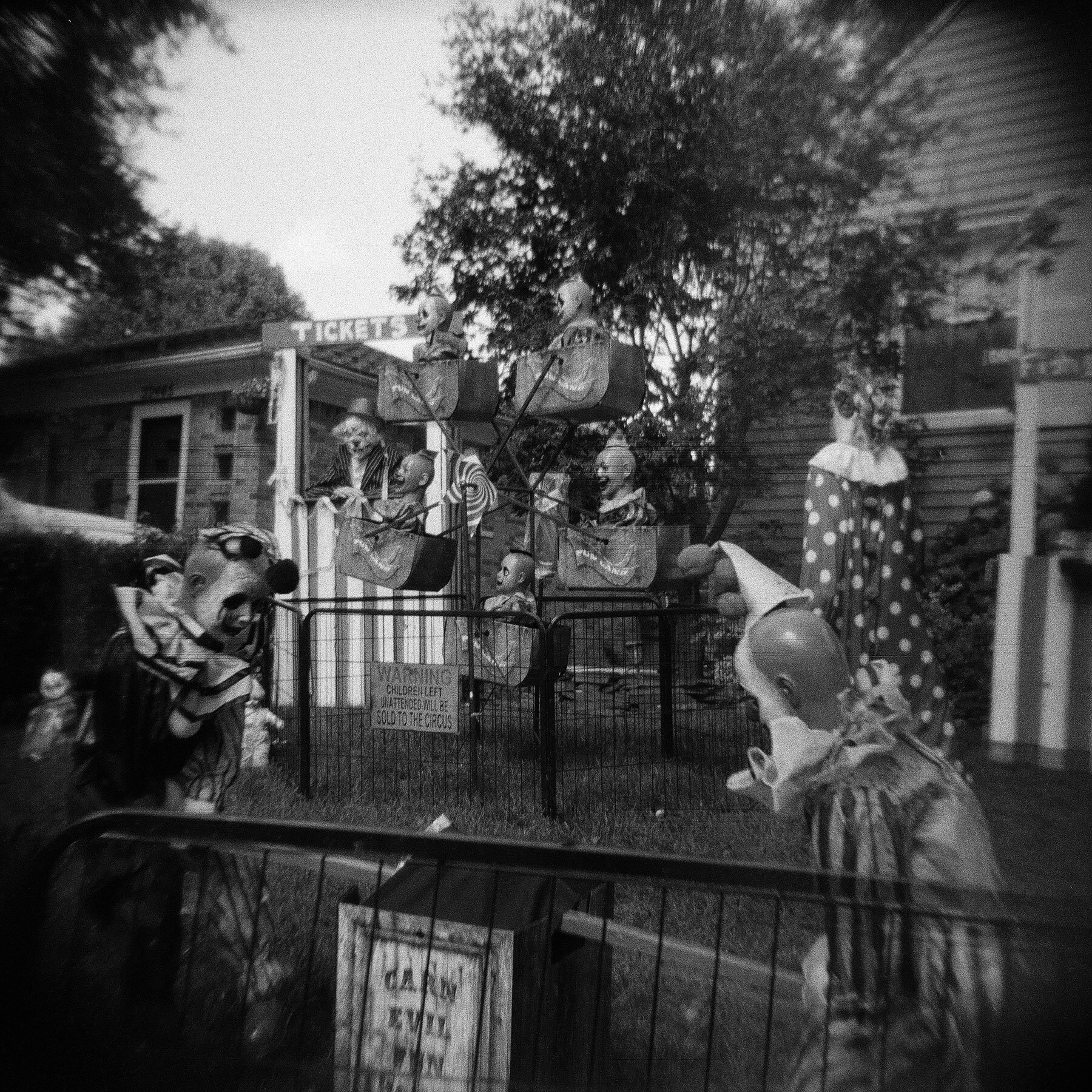 小丑2 | Holga 120n |凯蒂·莫伦(Katie Mollon)