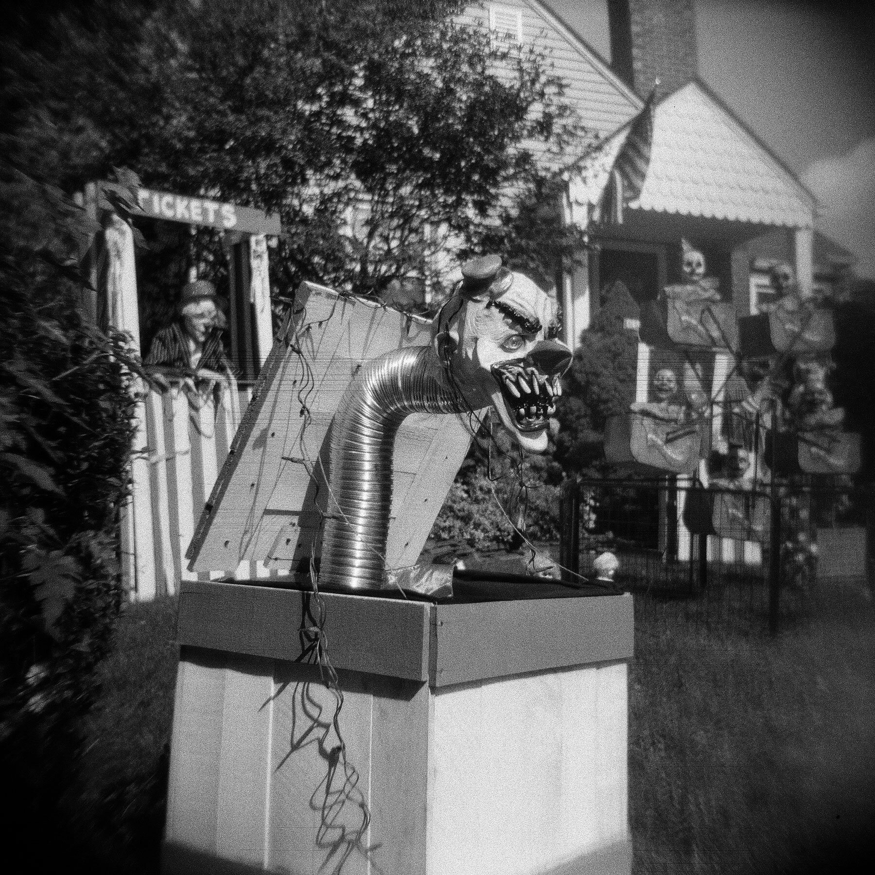 小丑3 | Holga 120n |凯蒂·莫伦(Katie Mollon)