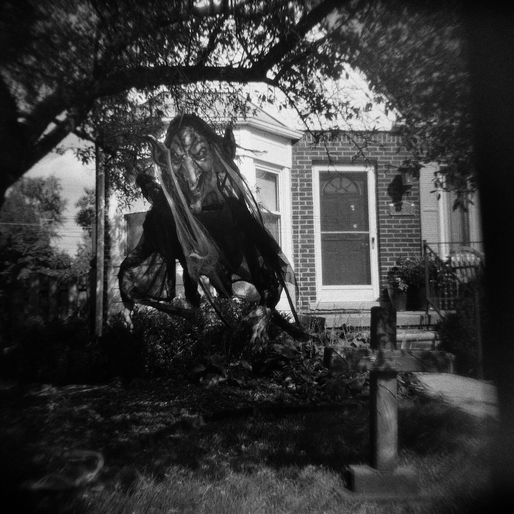 女巫Holga 120n |凯蒂·莫伦(Katie Mollon)