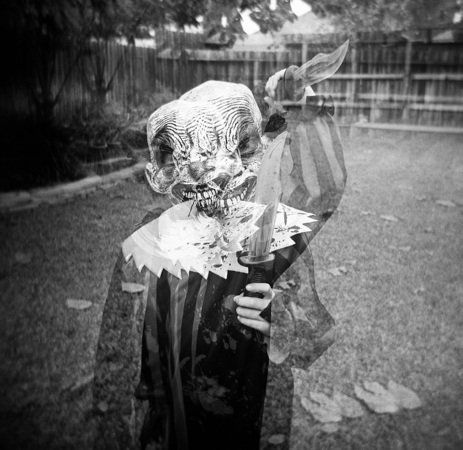 双| Holga 120n |柯达Tri-X |艾米·杰塞克(Amy Jasek)