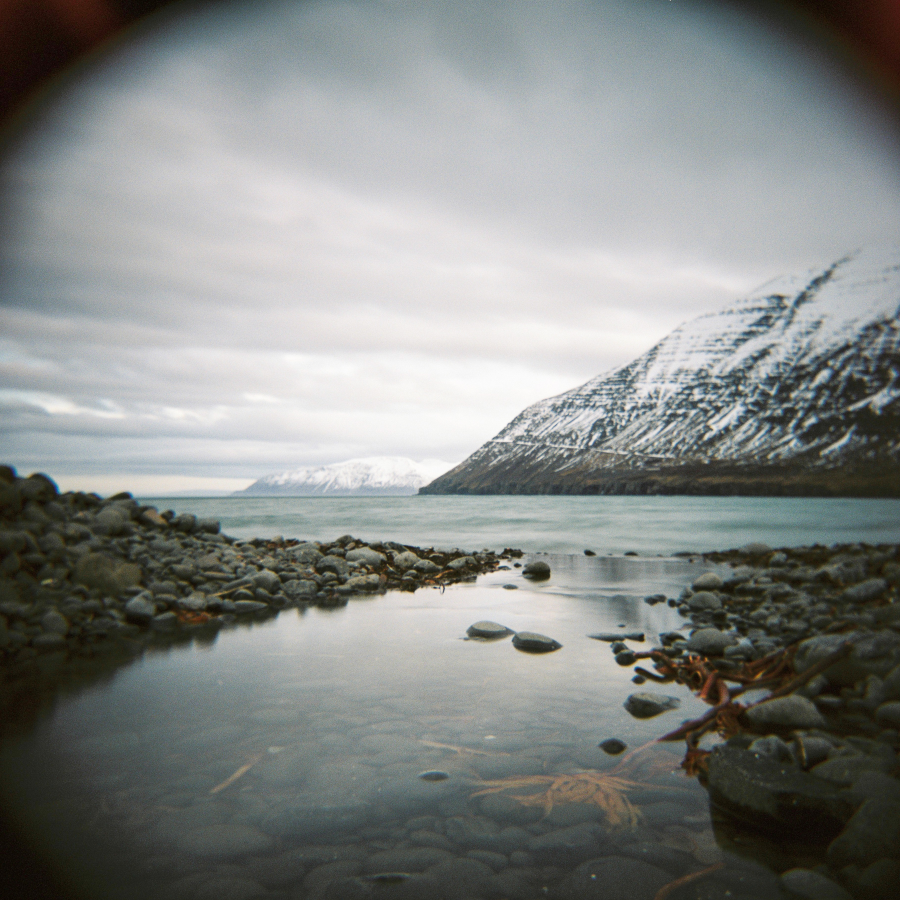 孤独Holga 120 GN |尼尔斯·卡尔森(Nils Karlson)