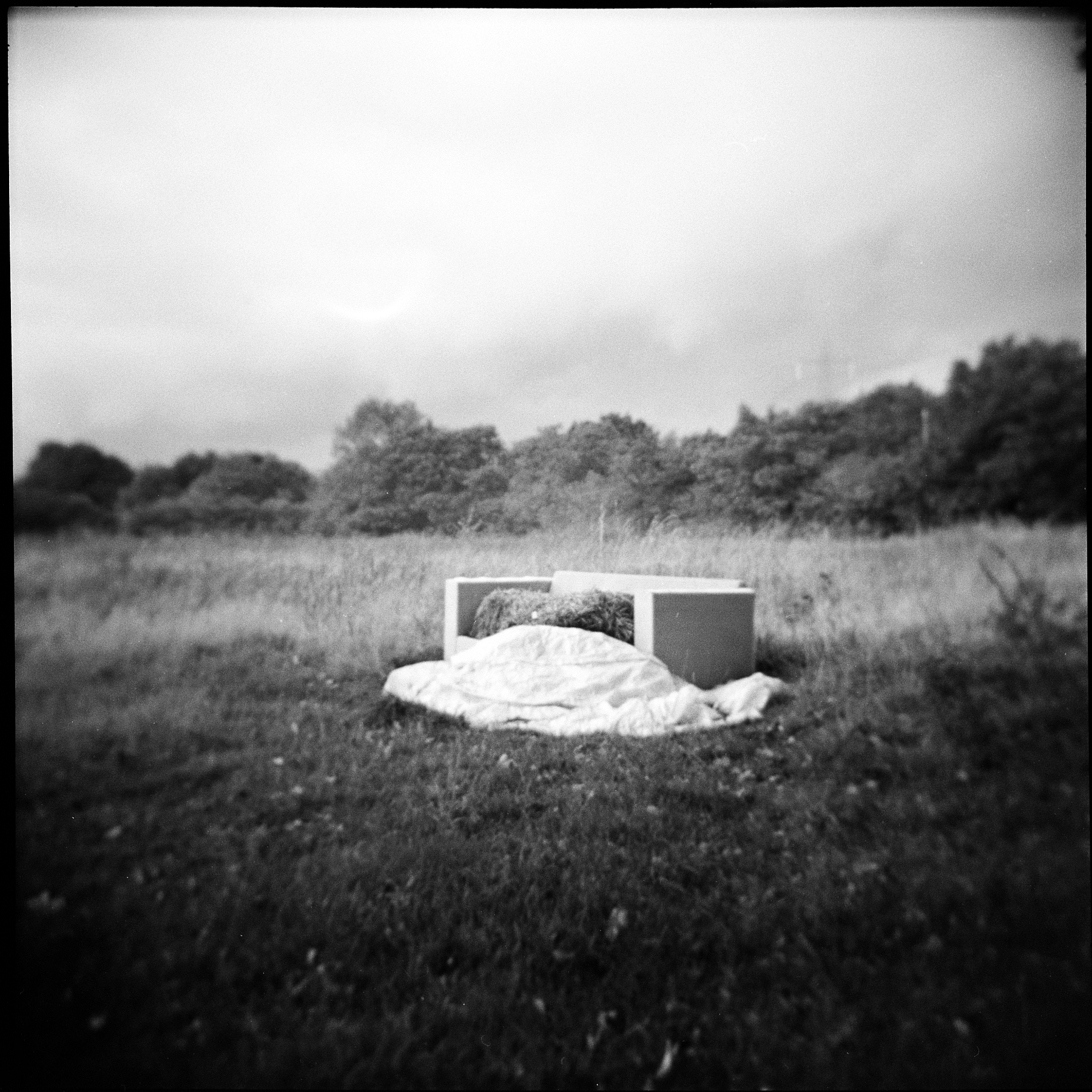 与自然融为一体| Holga 120N |银与沉默安德鲁·西尔弗
