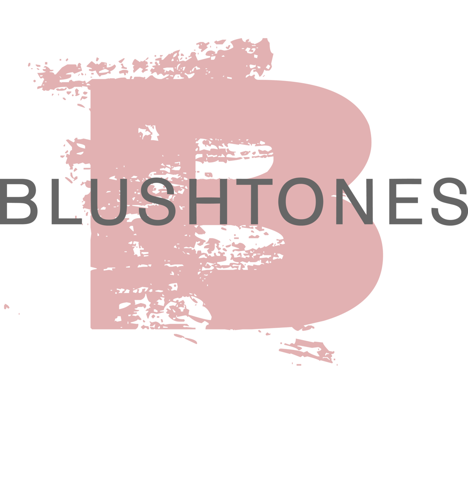 BlushTones - Virginia Makeup Artist