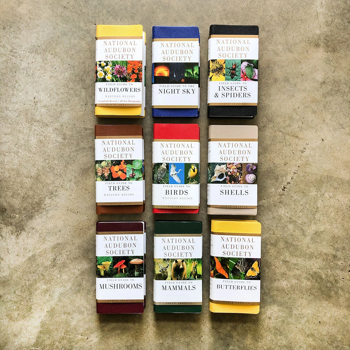 National Audubon Society Field Guides Cord